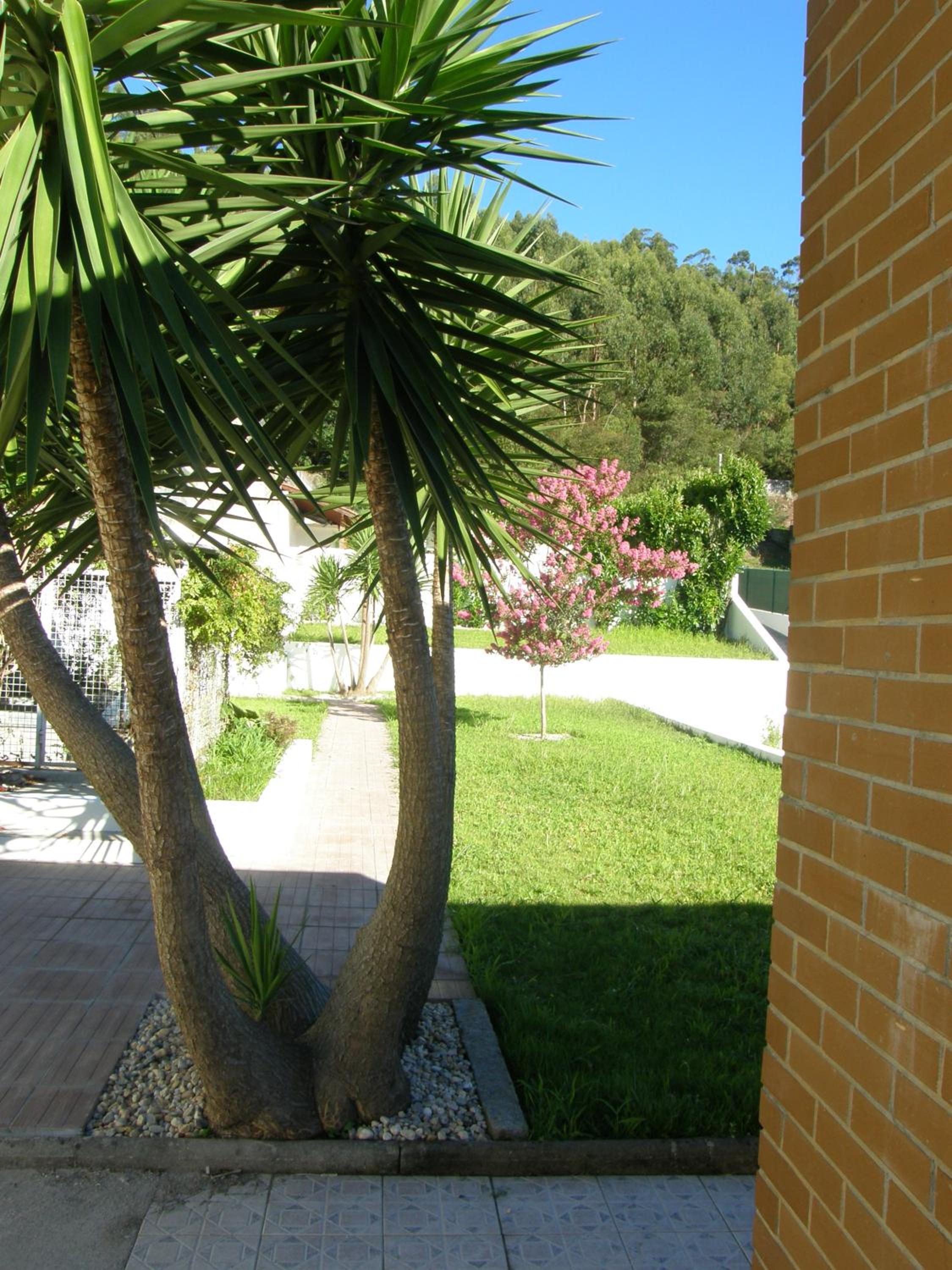 CasaJP view 3