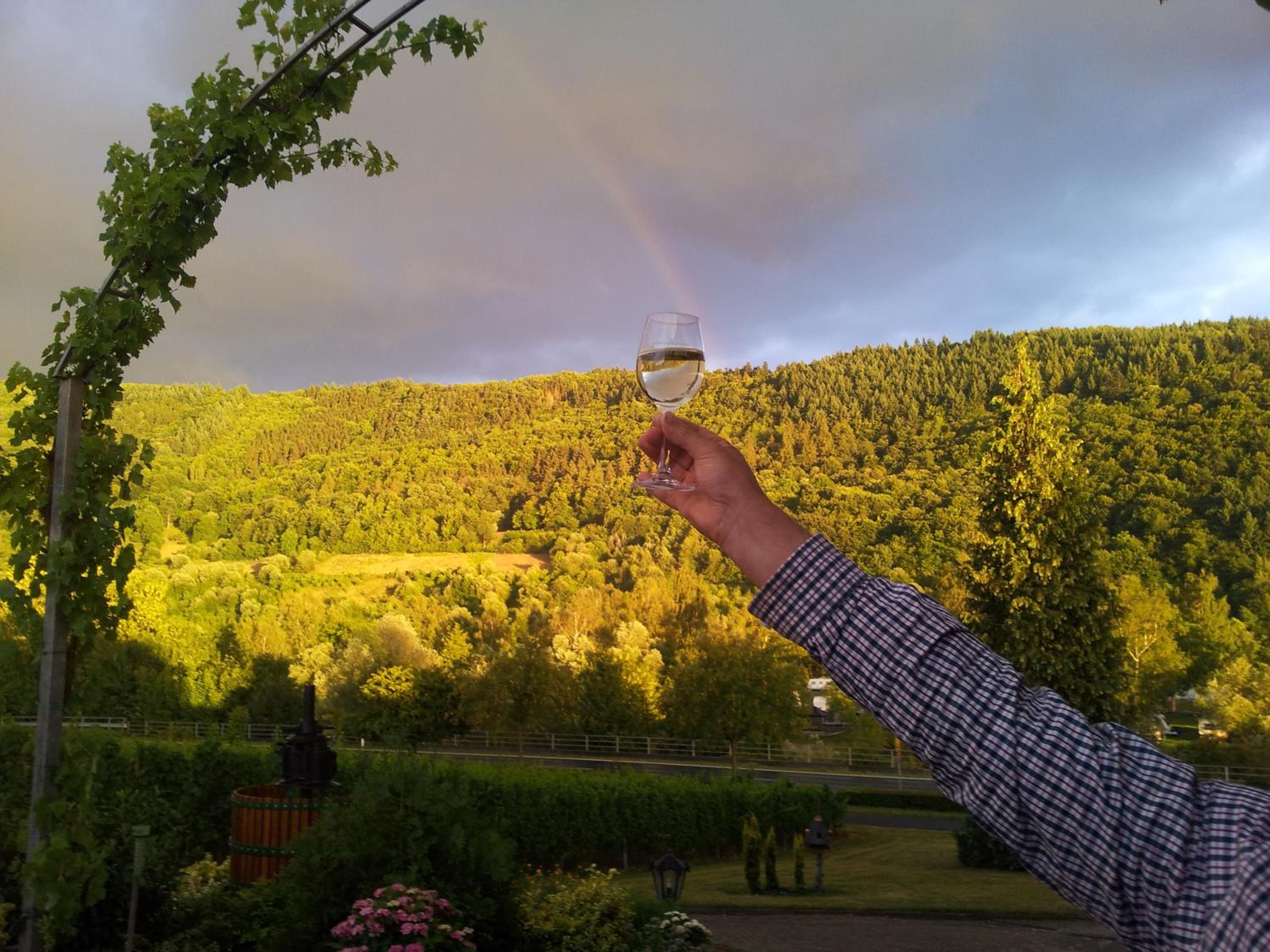 Ferienweingut-Liebfried view 5