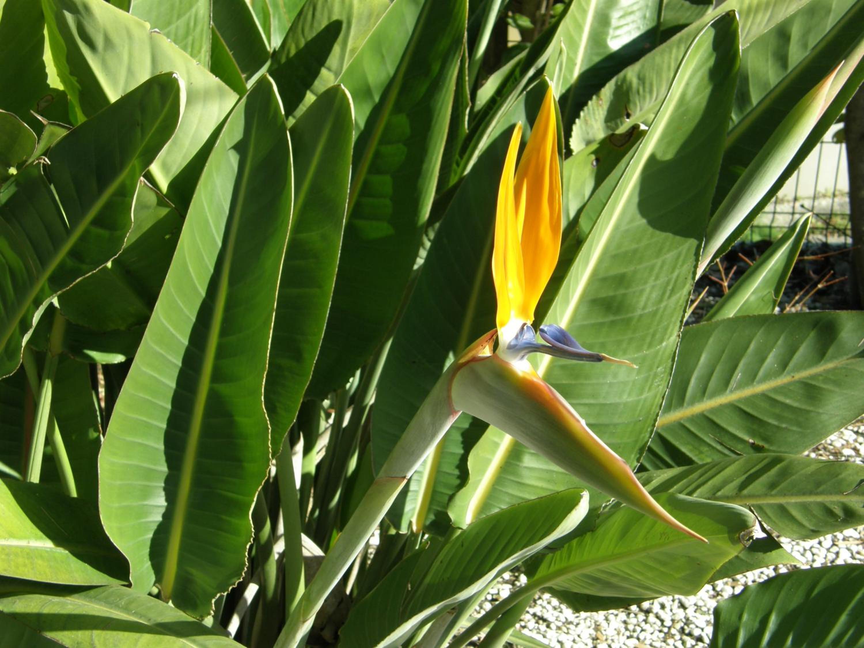 Photo 41