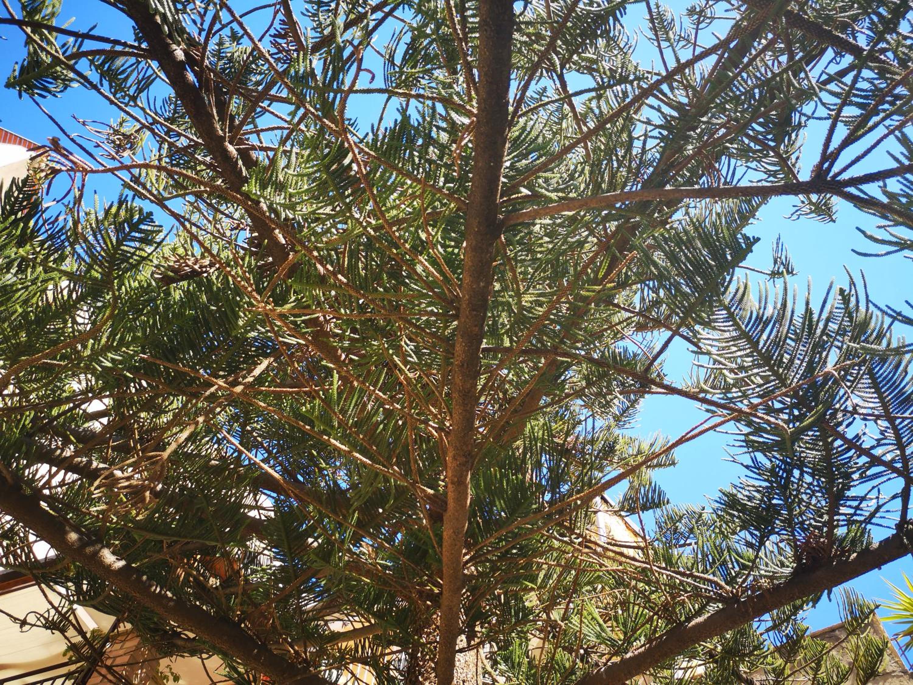 Photo 47