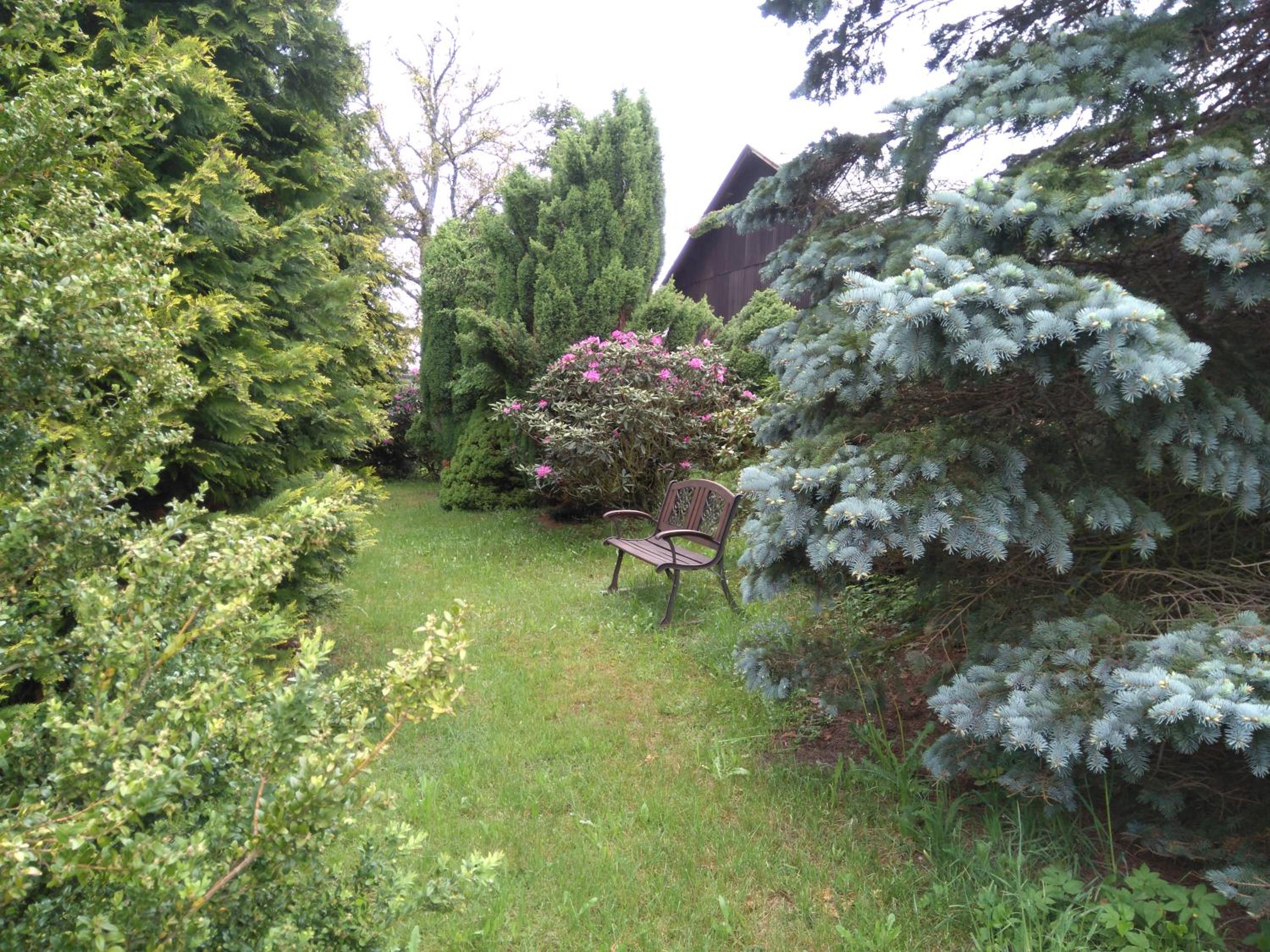 Photo 53