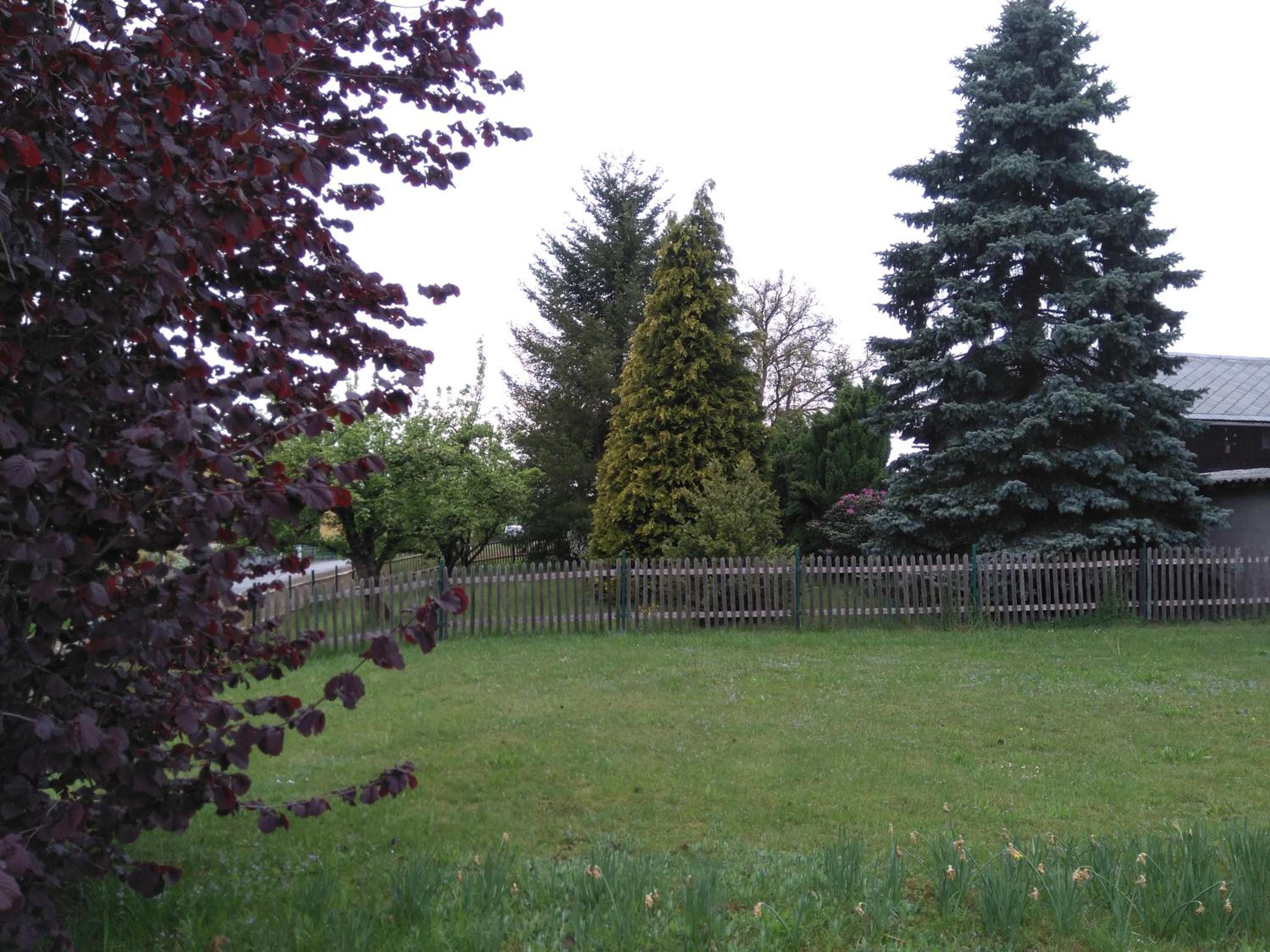 Photo 51