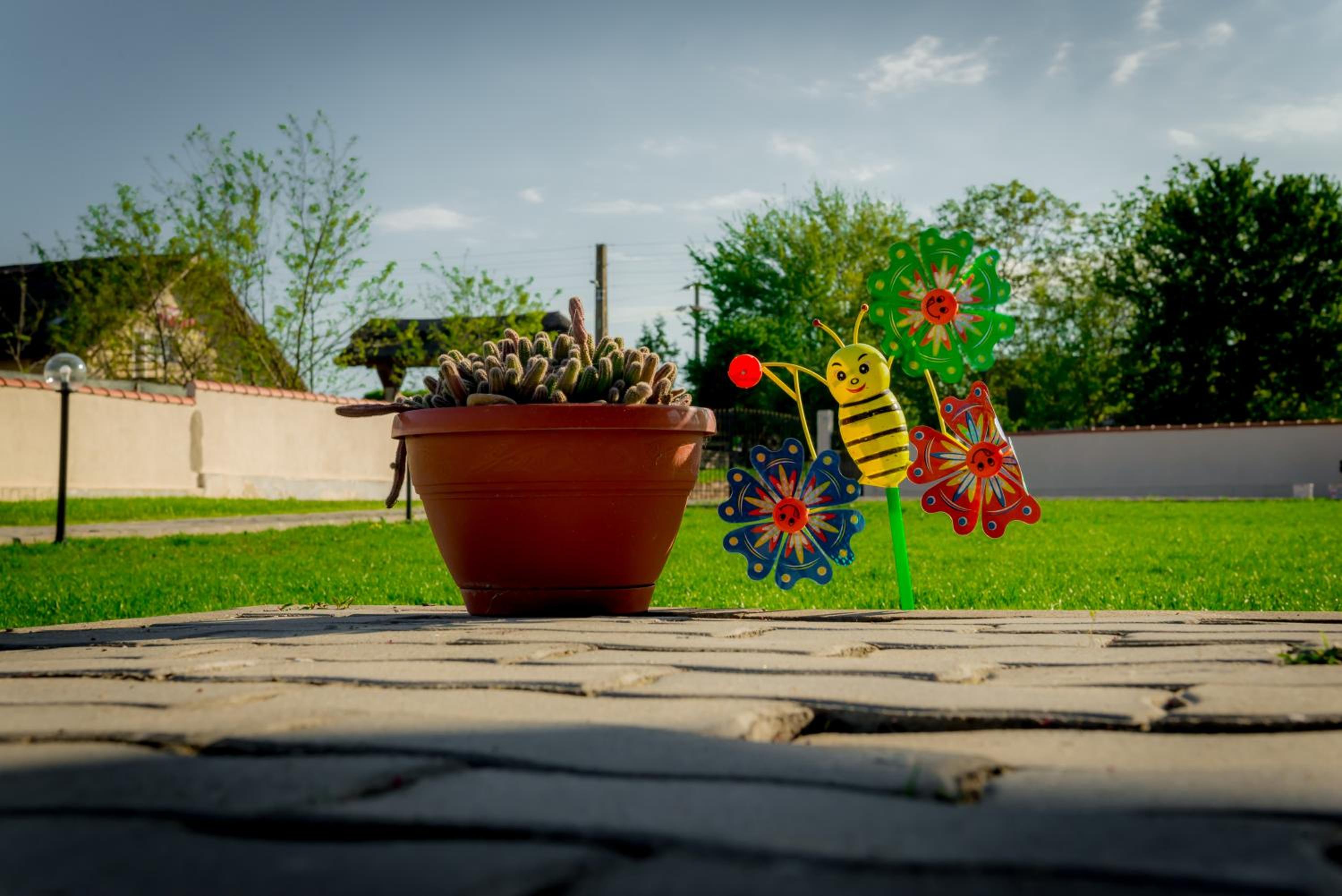 Photo 41