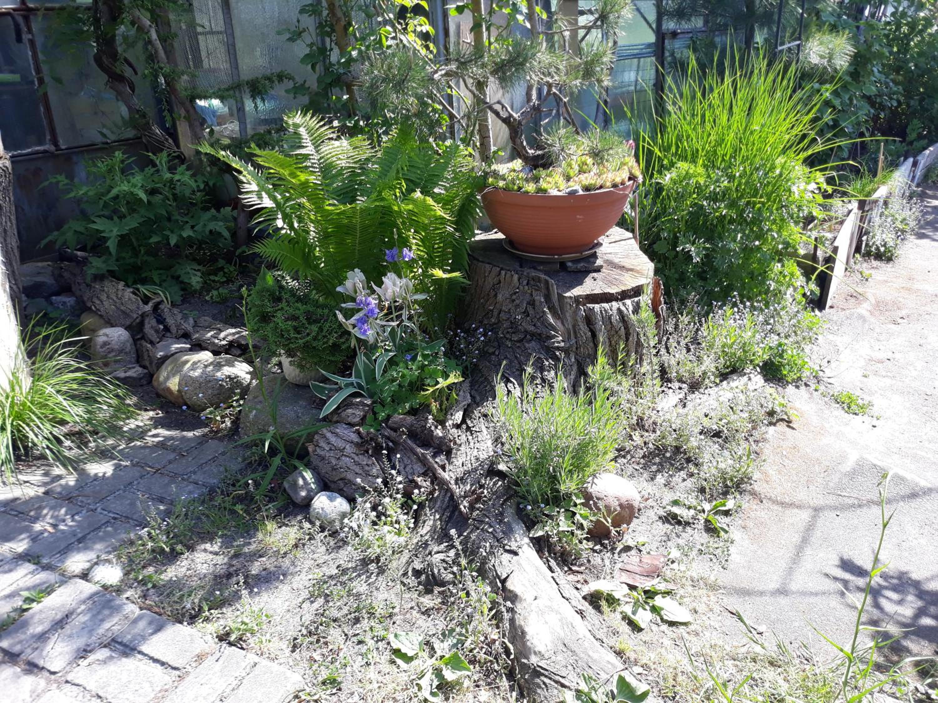 Photo 40