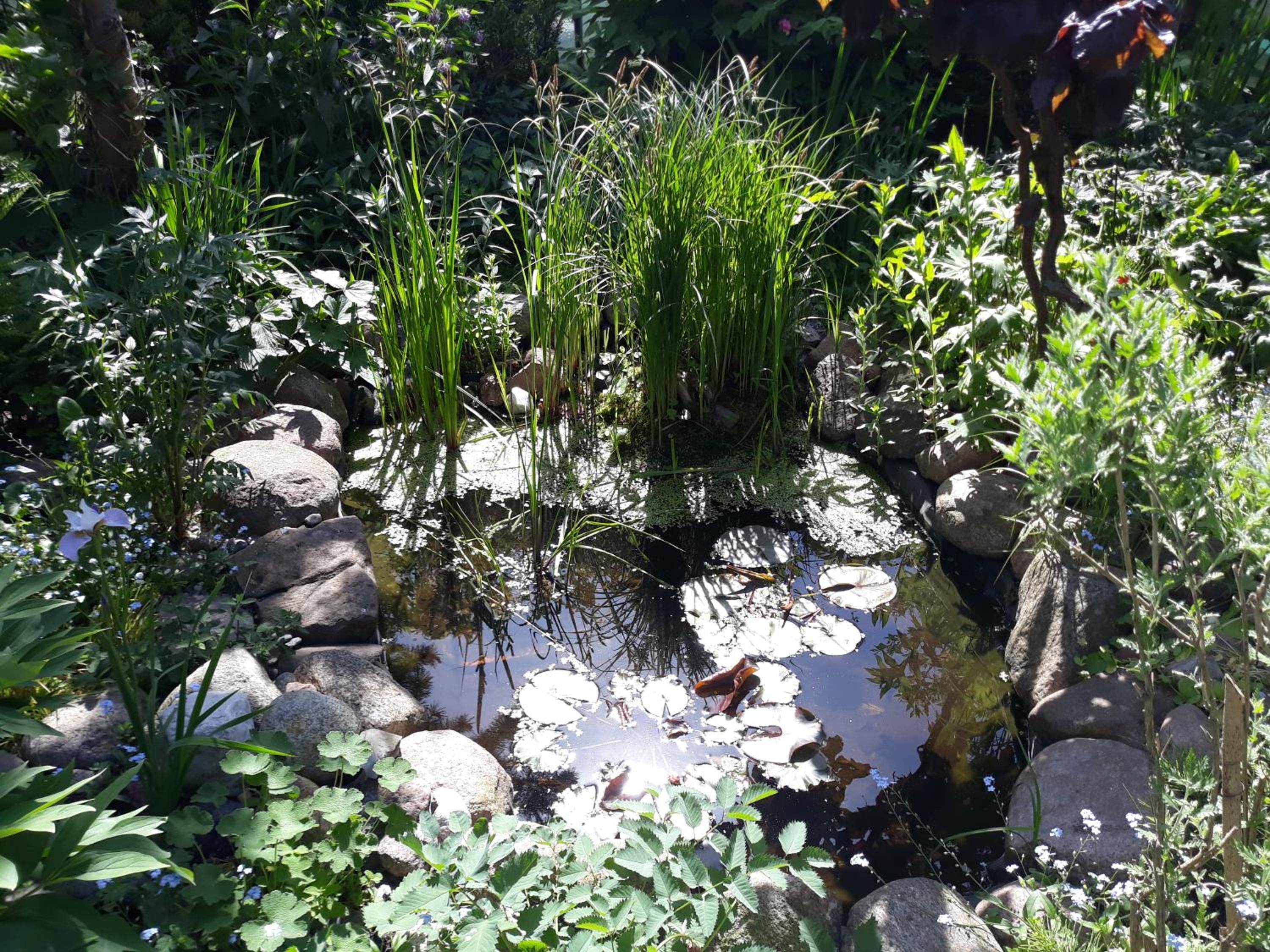 Photo 46