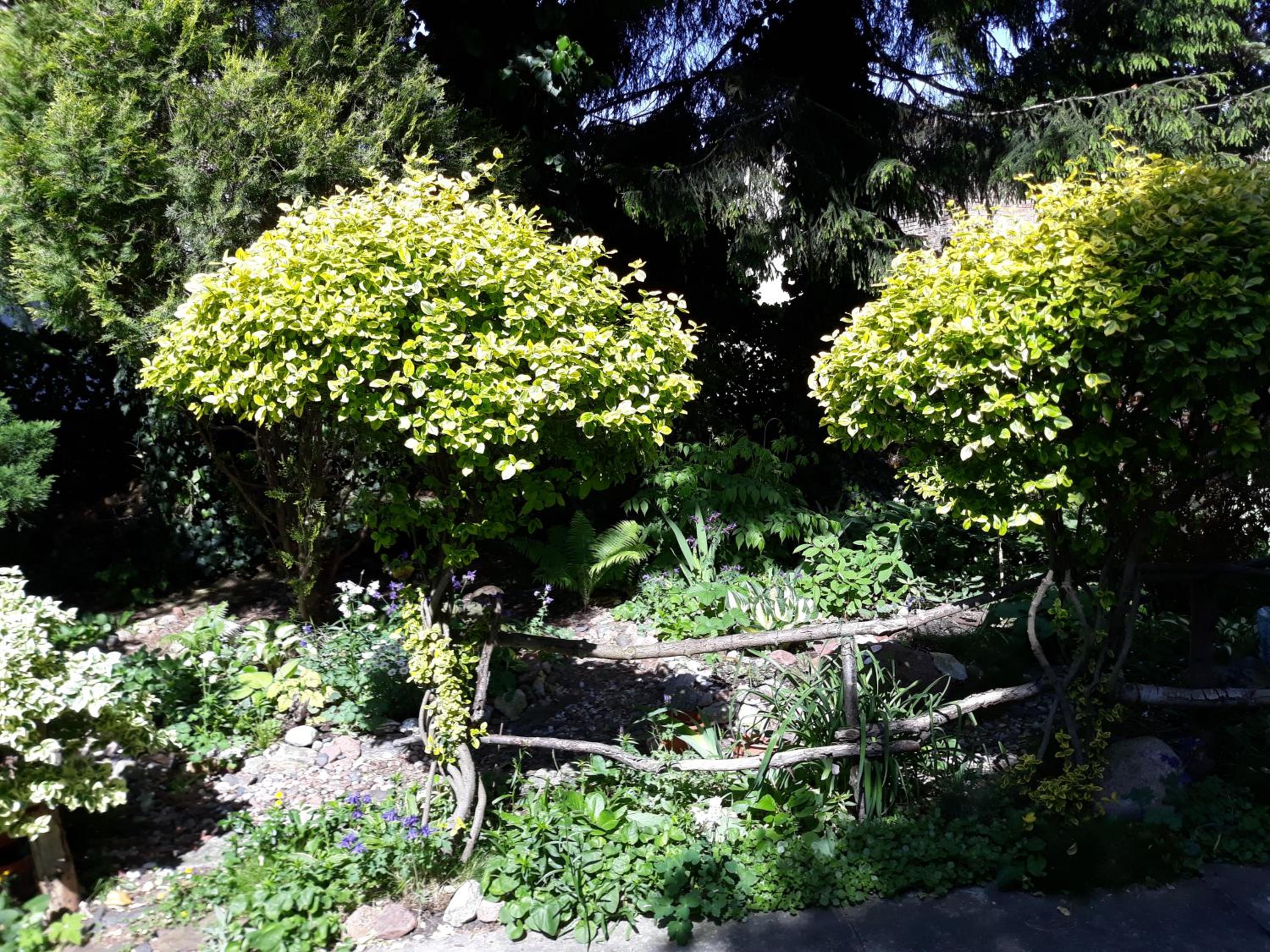 Photo 39