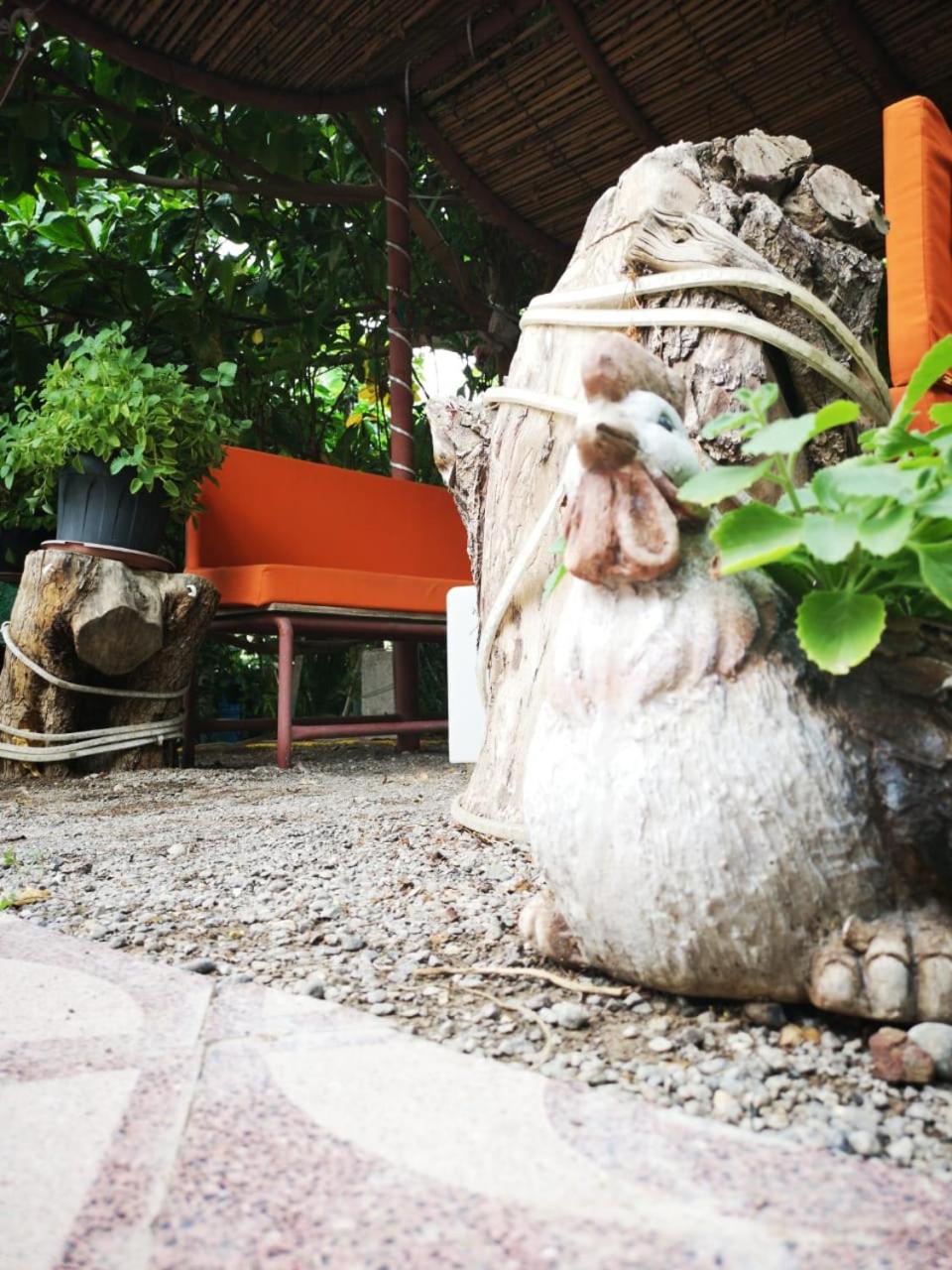 Happiness Farm
