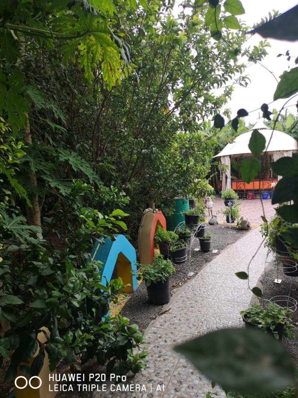 Happiness Farm