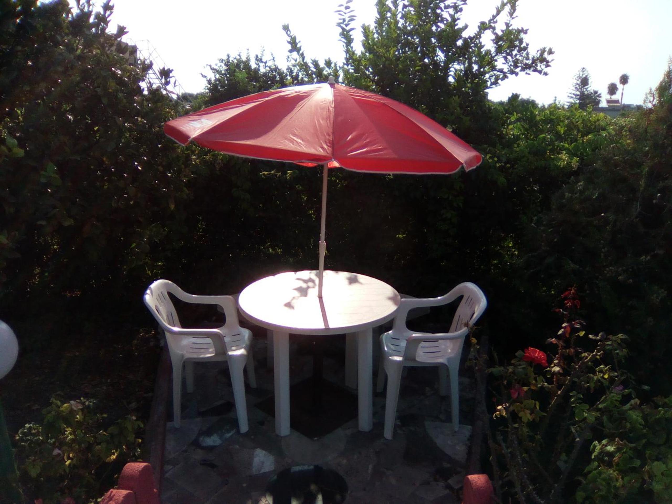 SICILIA MIA casa vacanze photo 5