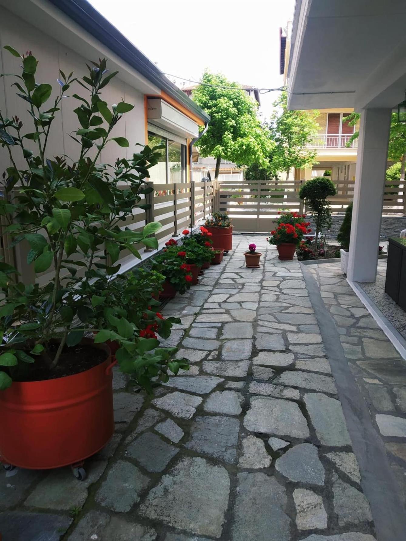Photo 6