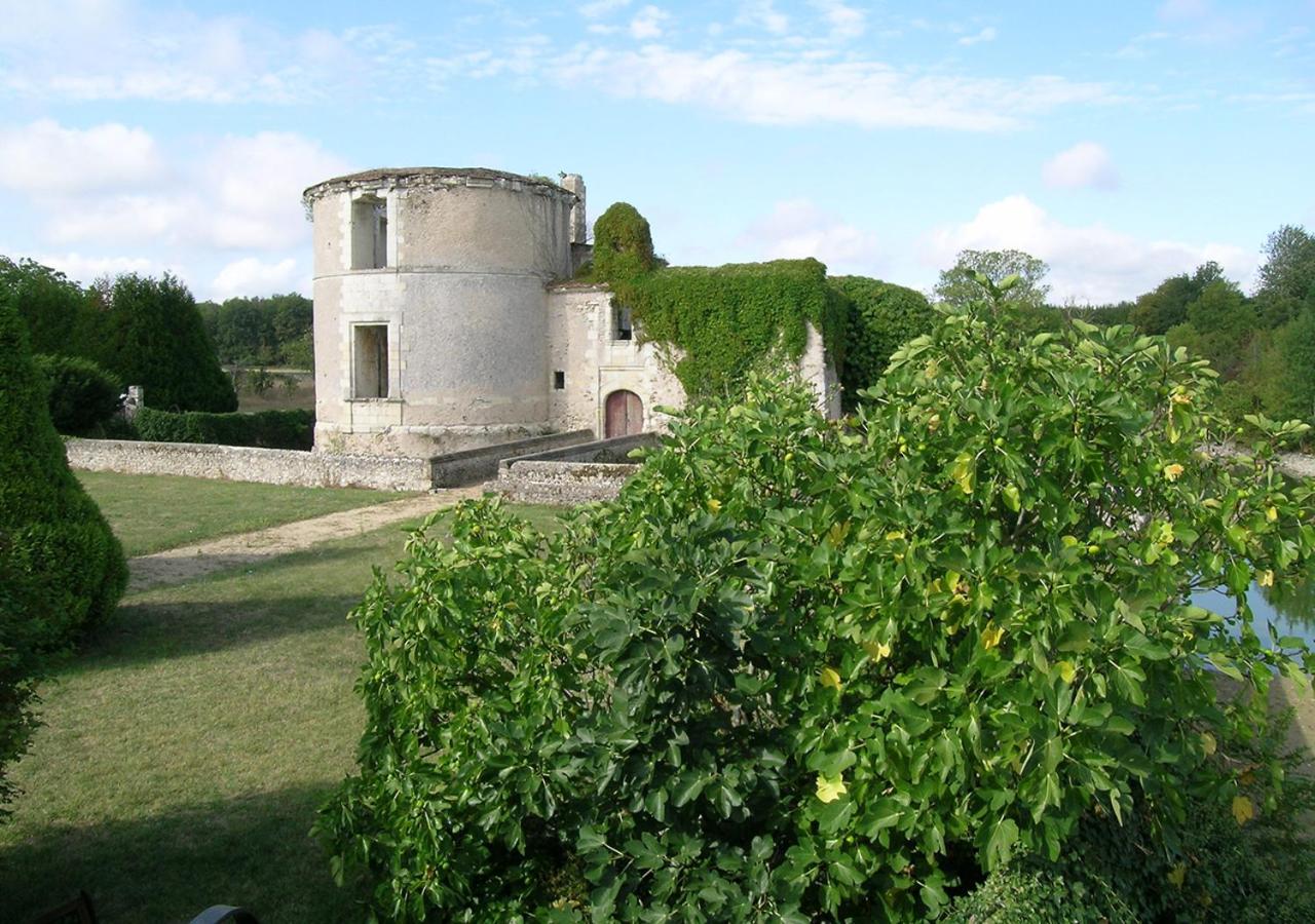 Photo 40