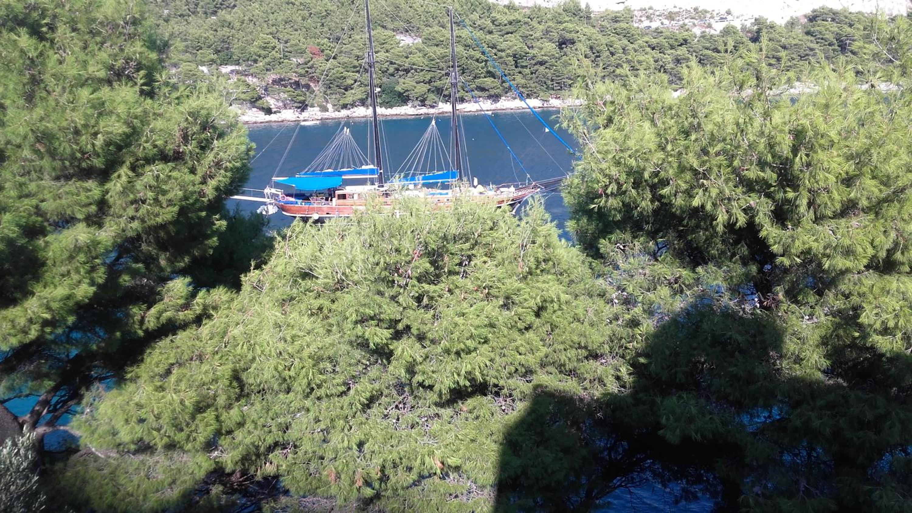 Apartment Josip II view 4