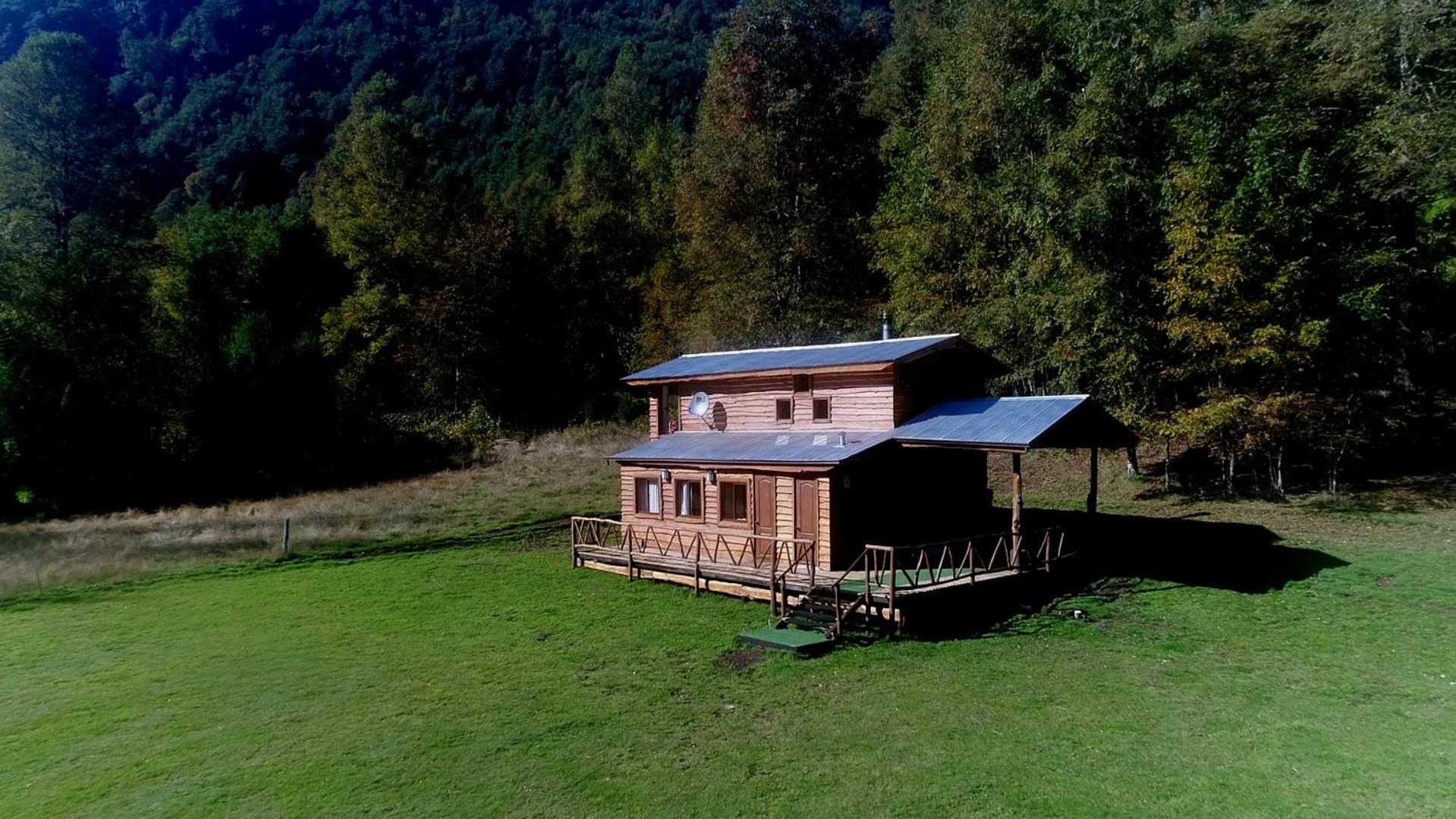 Casa Arbol