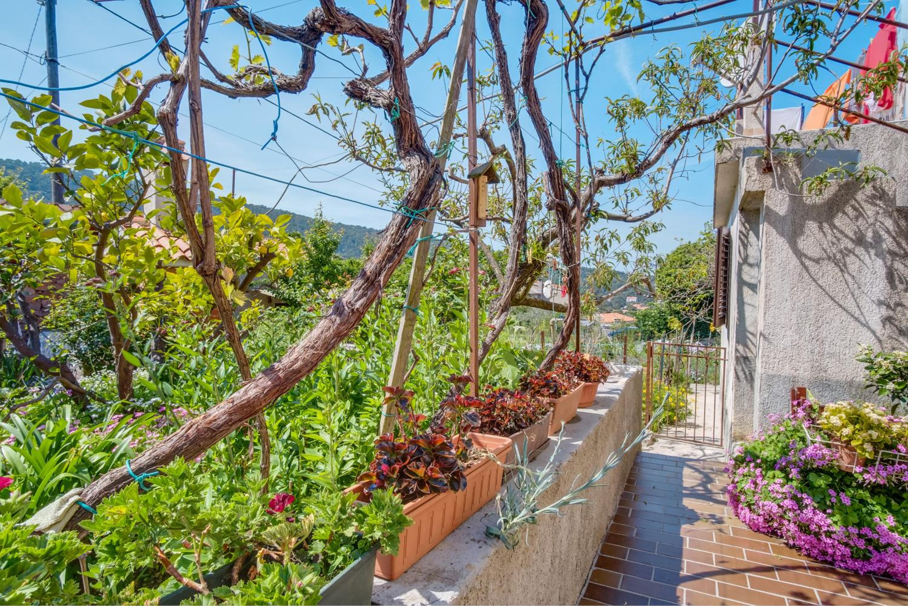 Apartman Corino view 3