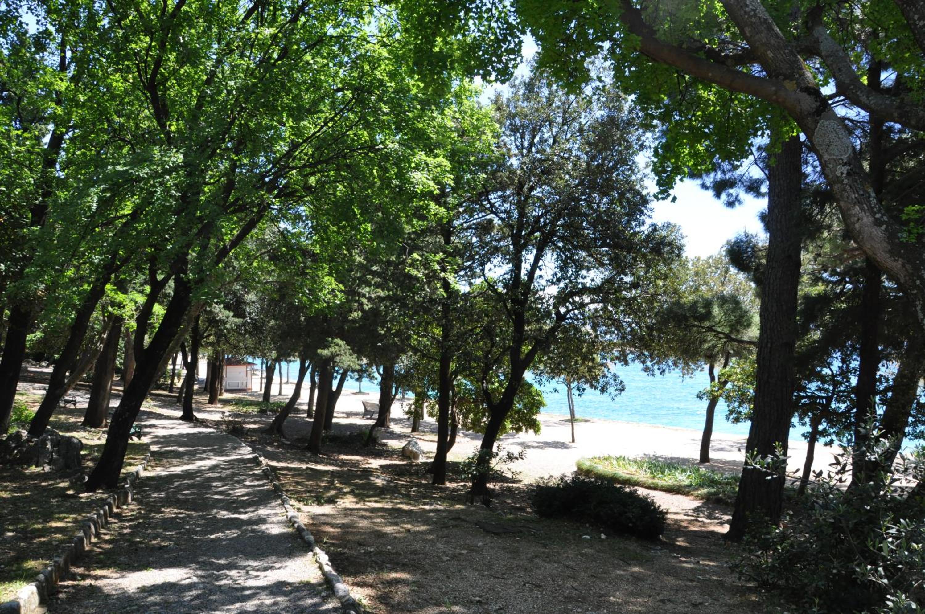 Photo 40