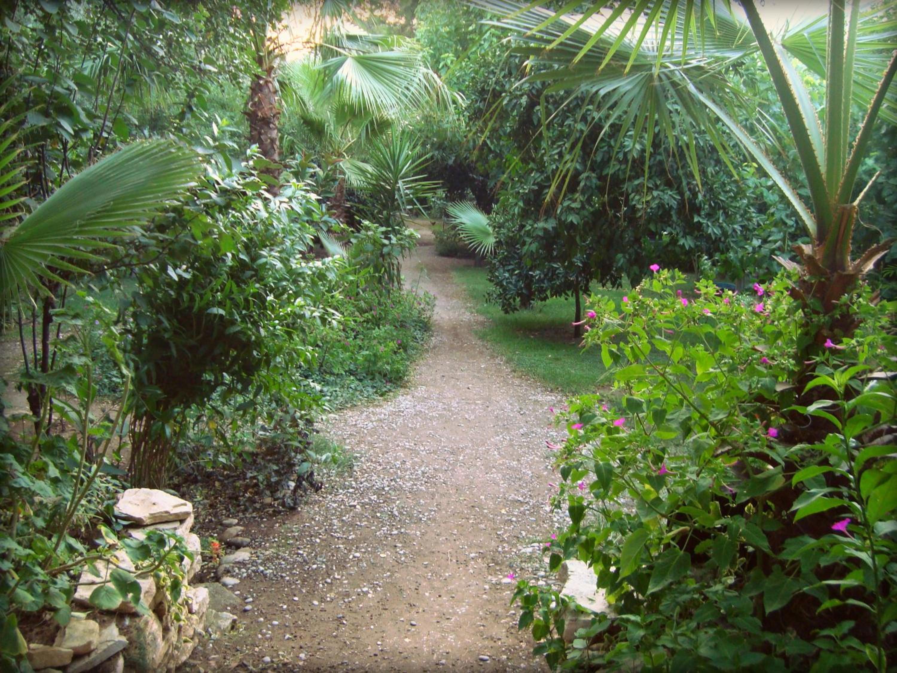 Photo 41