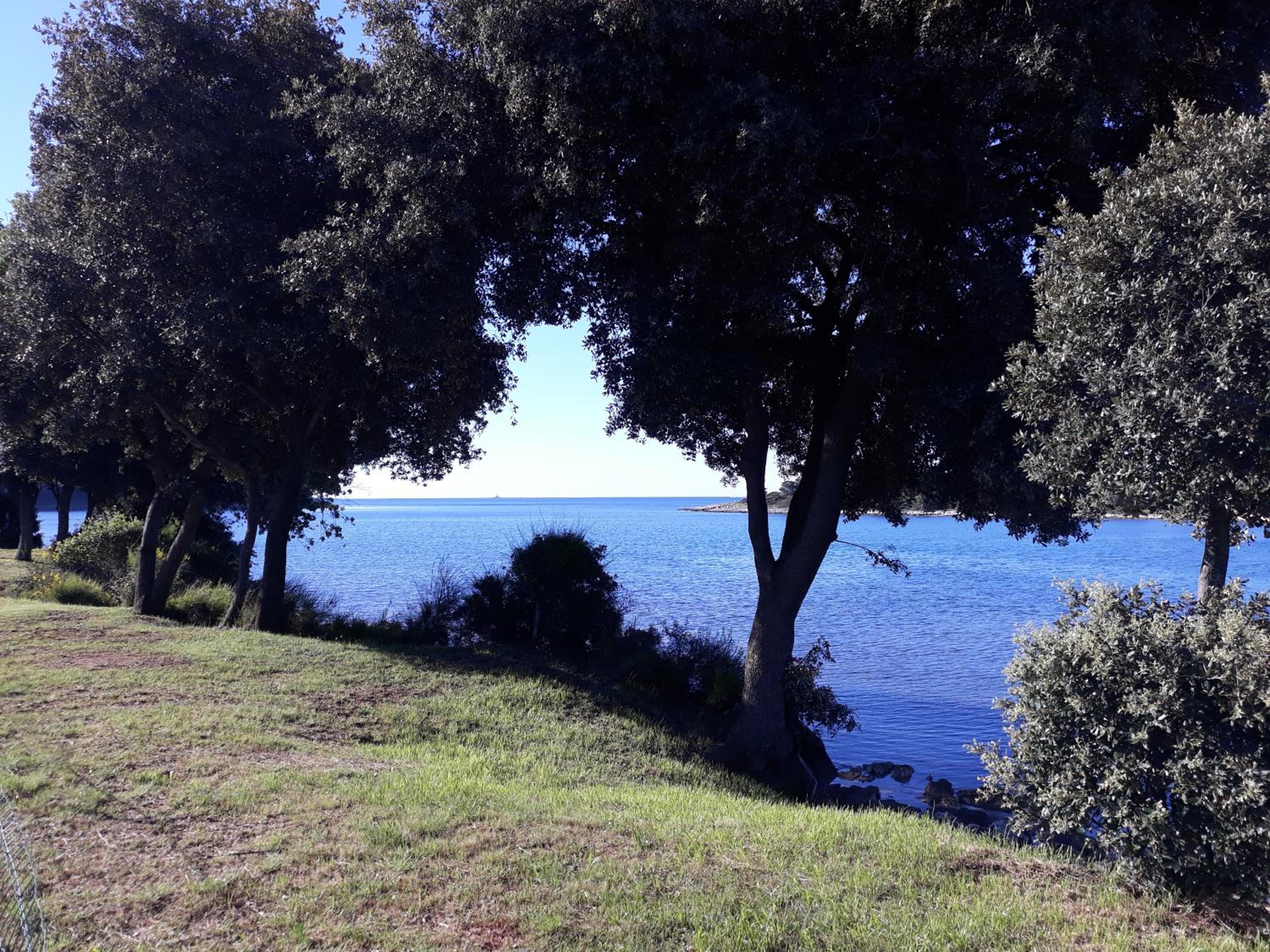 Photo 30