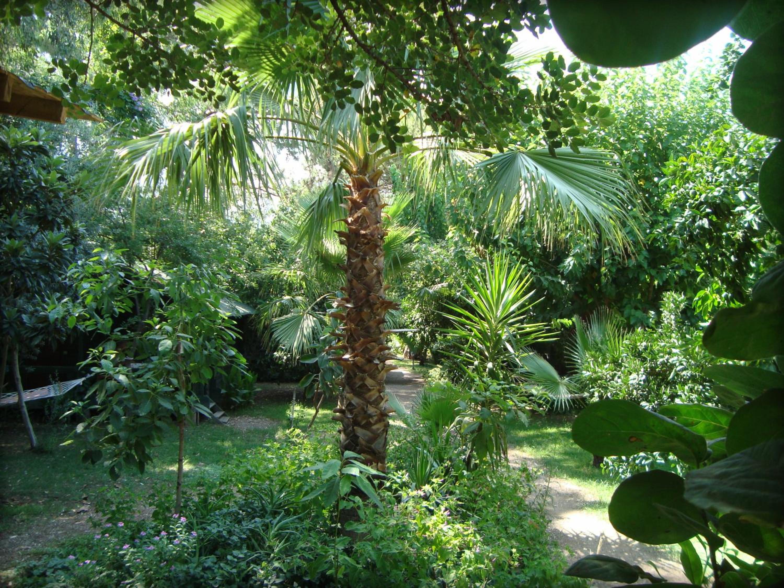 Photo 40