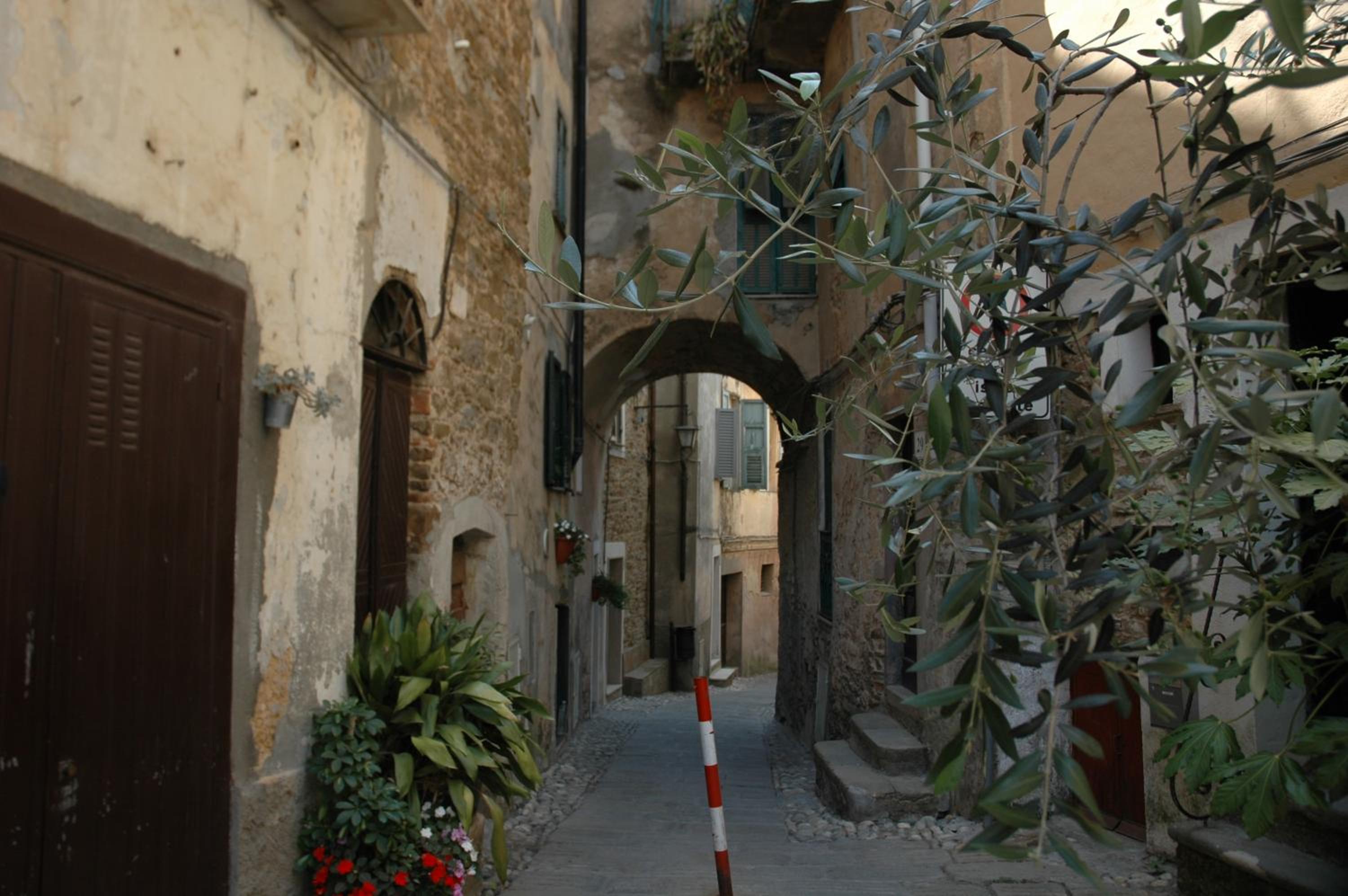 Photo 43