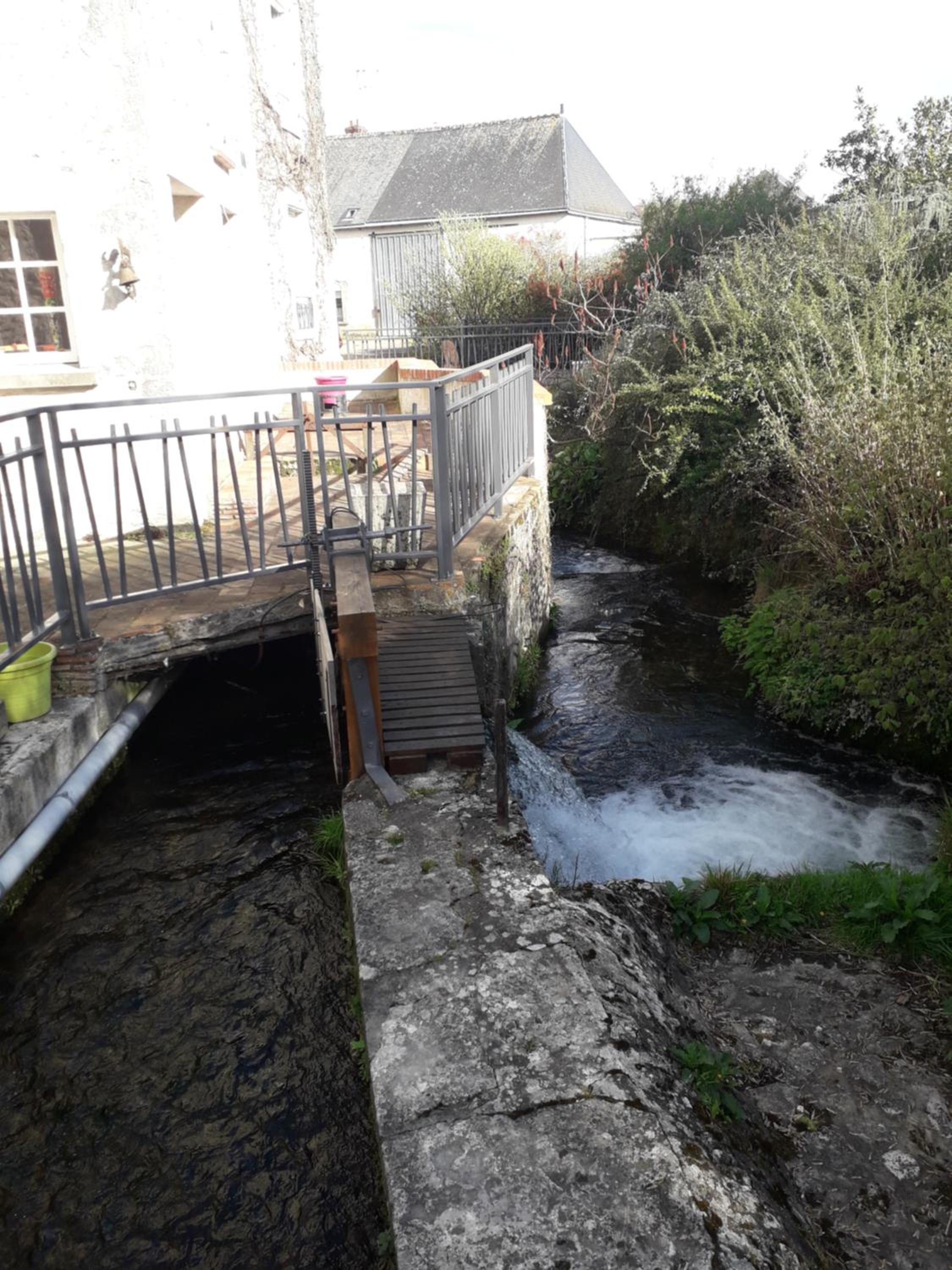 Photo 26