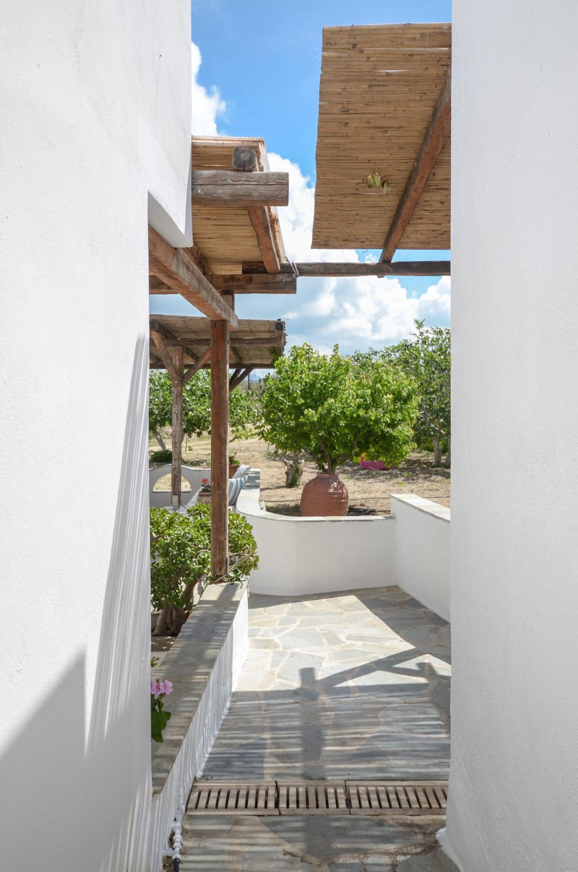 Katerina's Villa photo 5