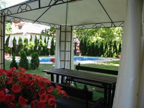 Photo 7