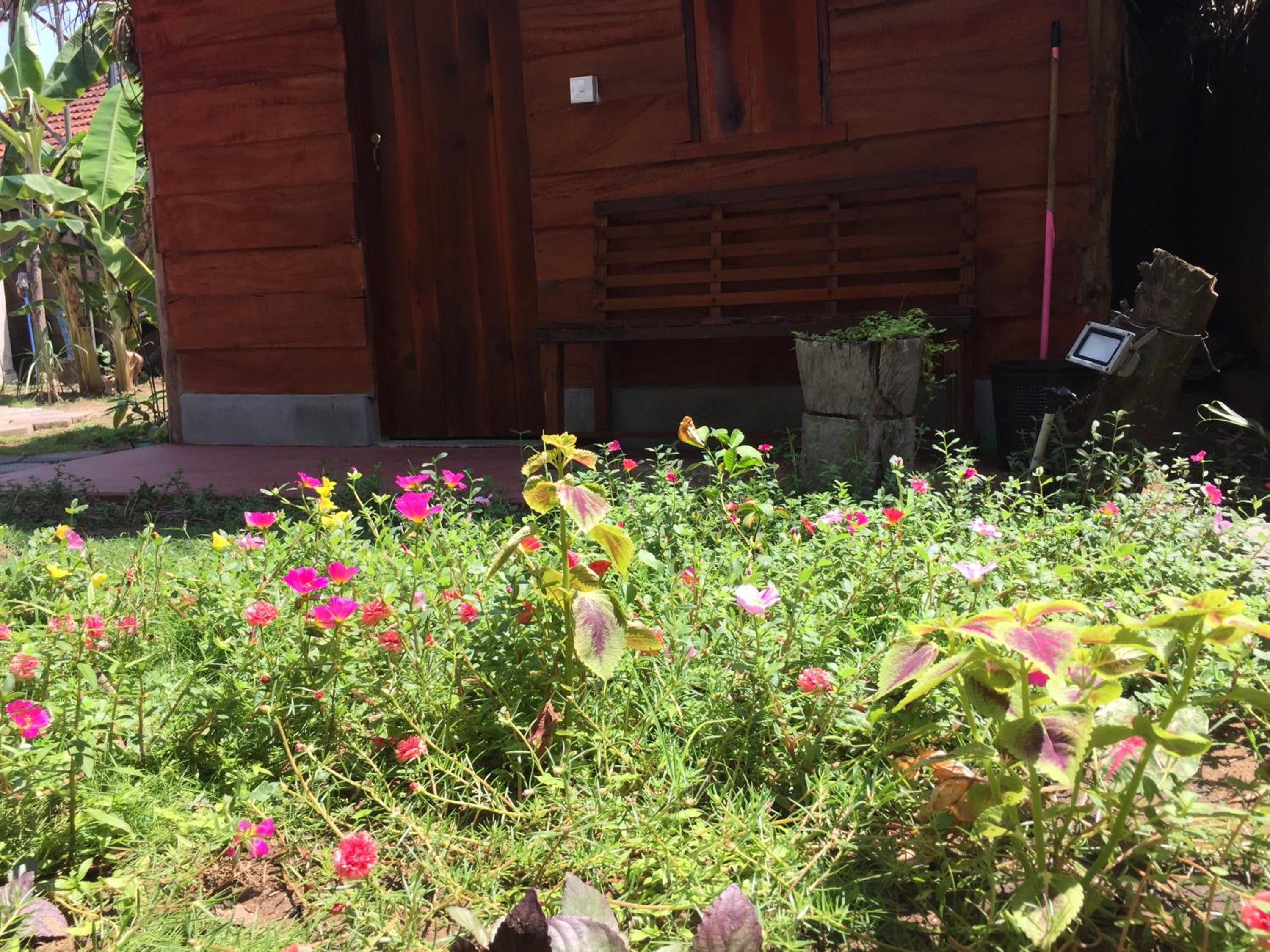 Lemon Tree Hostel view 5