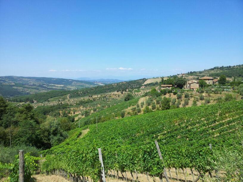 Agriturismo Poggio all'Olmo