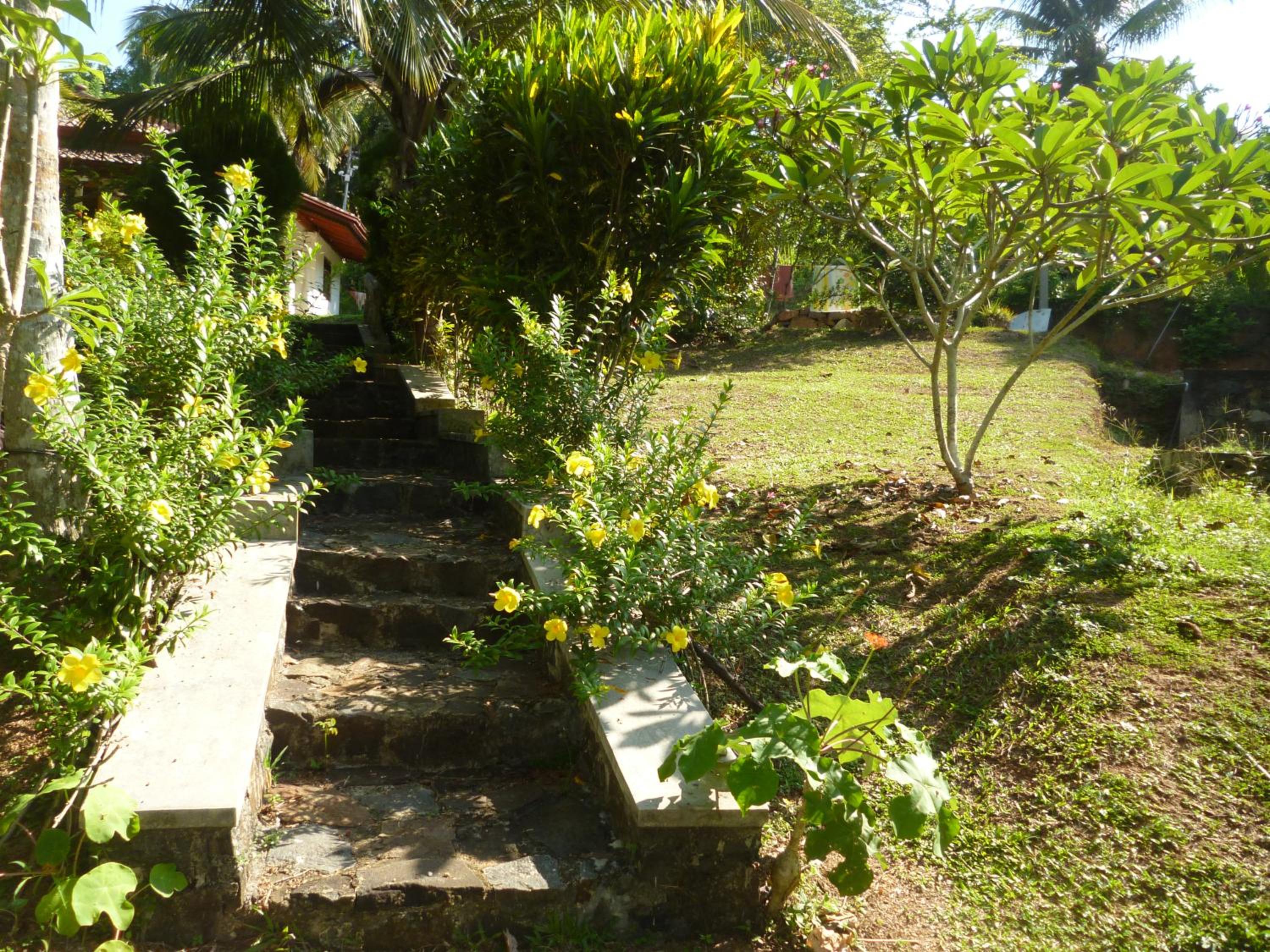 Photo 34