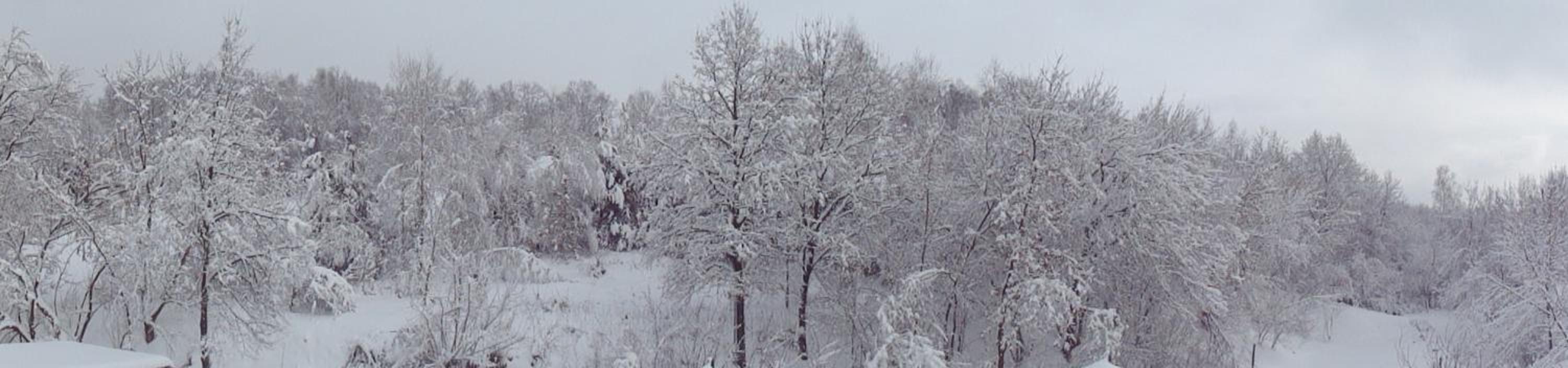 Gościniec Basia view 4