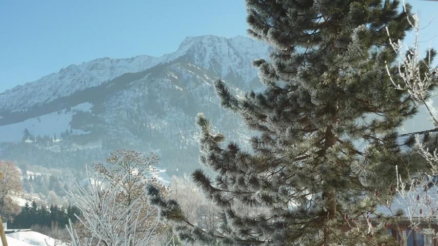Alpinum