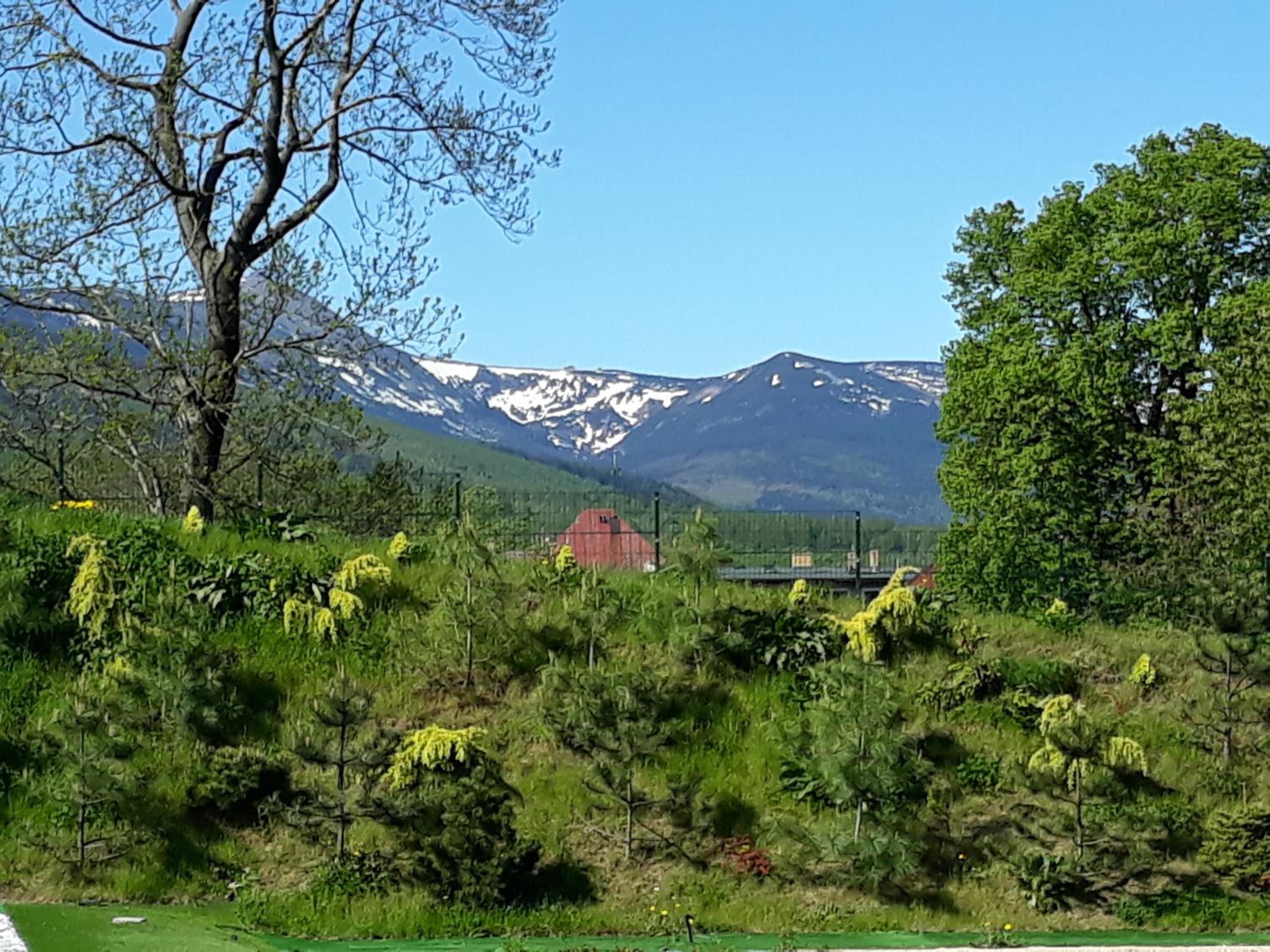 Photo 25