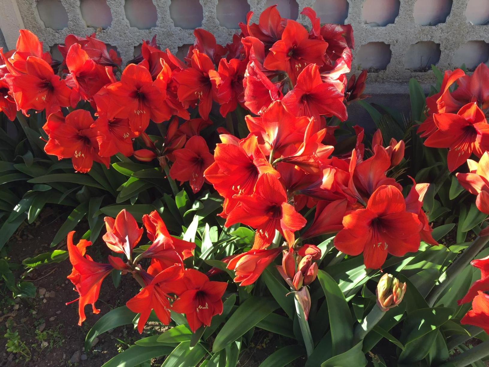 Mony's Island B&B photo 5