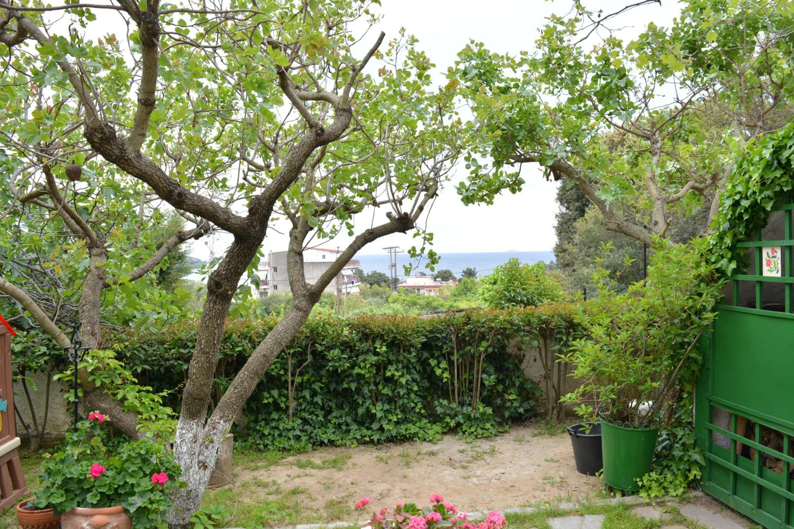 Sofia's House view 2