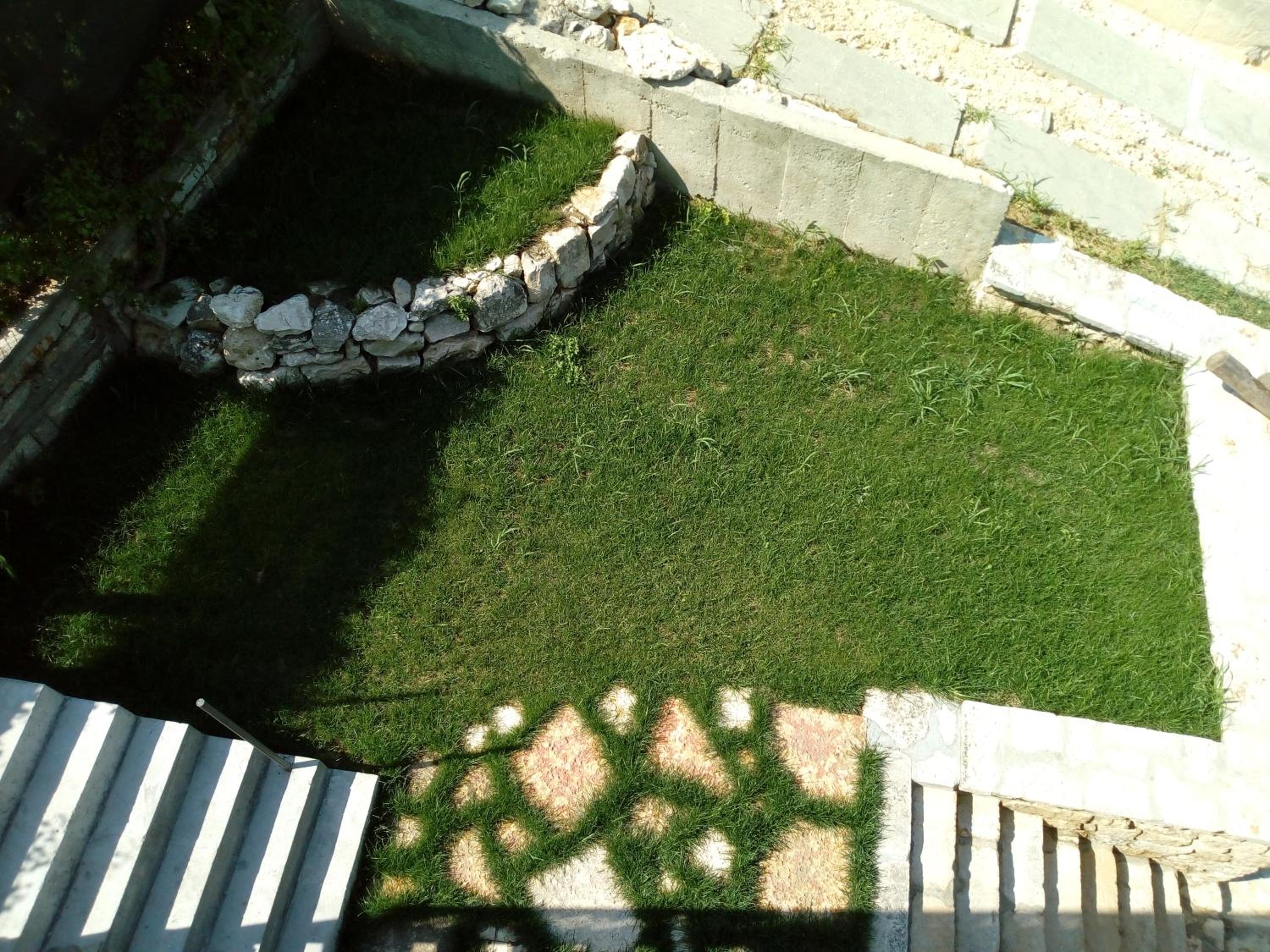 Photo 46