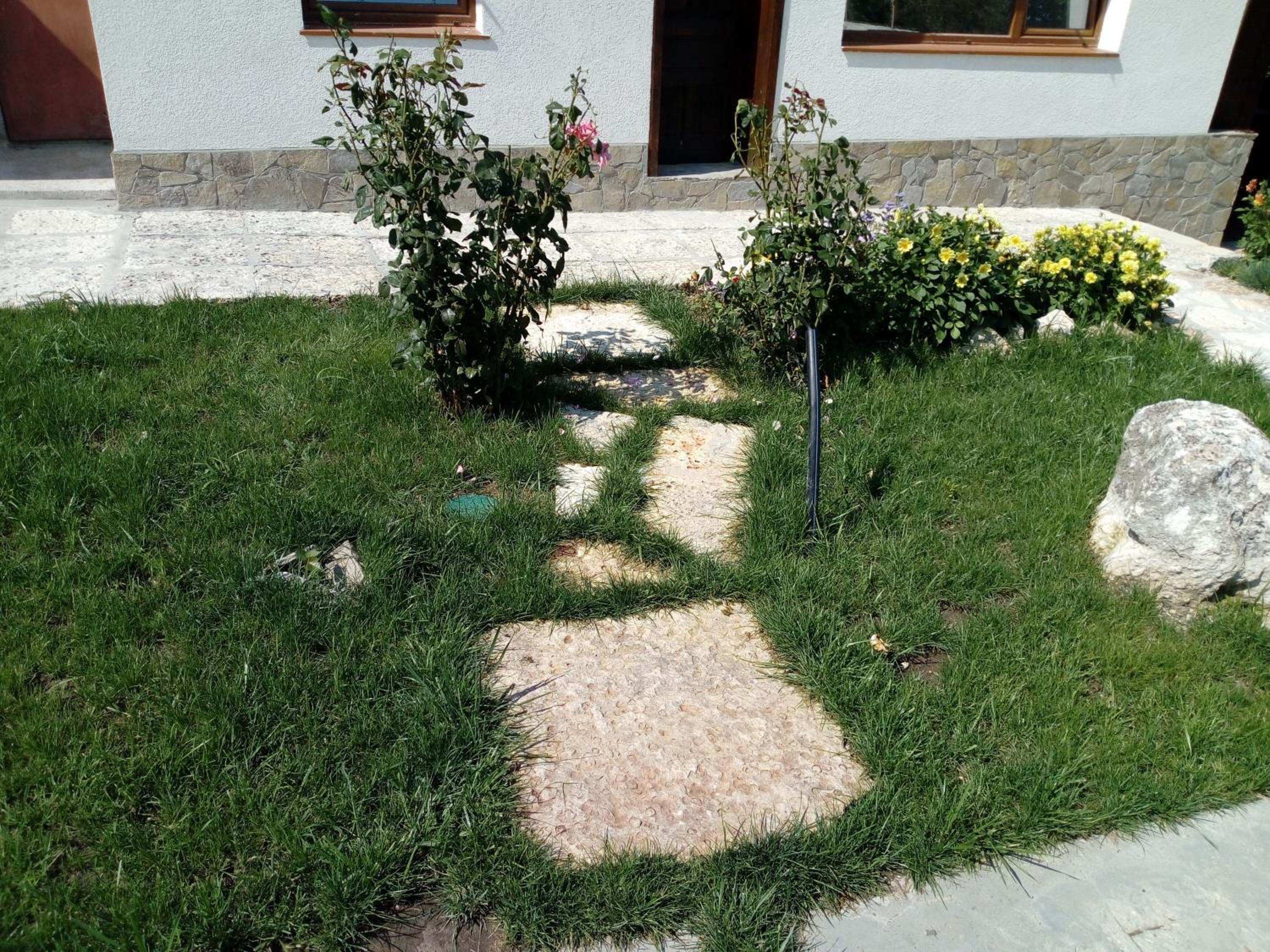 Photo 45