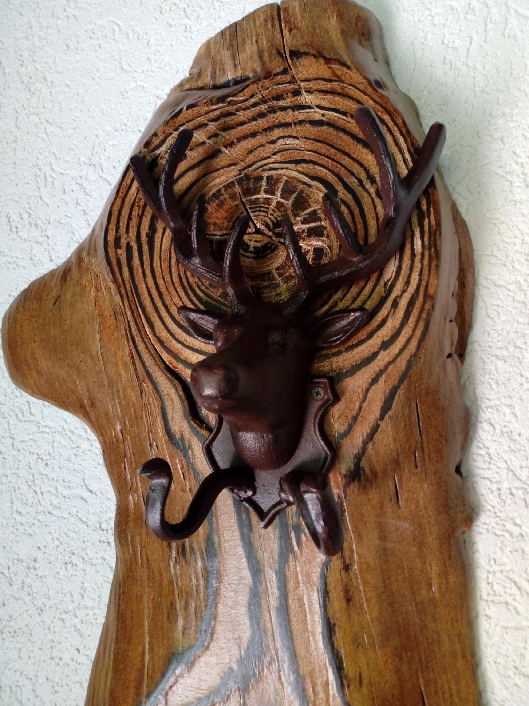 Casa Del Grey view 3