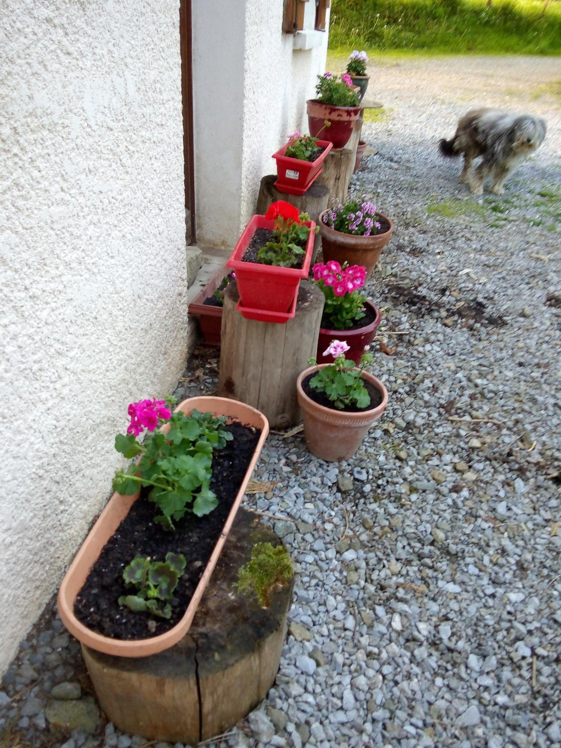 Photo 15