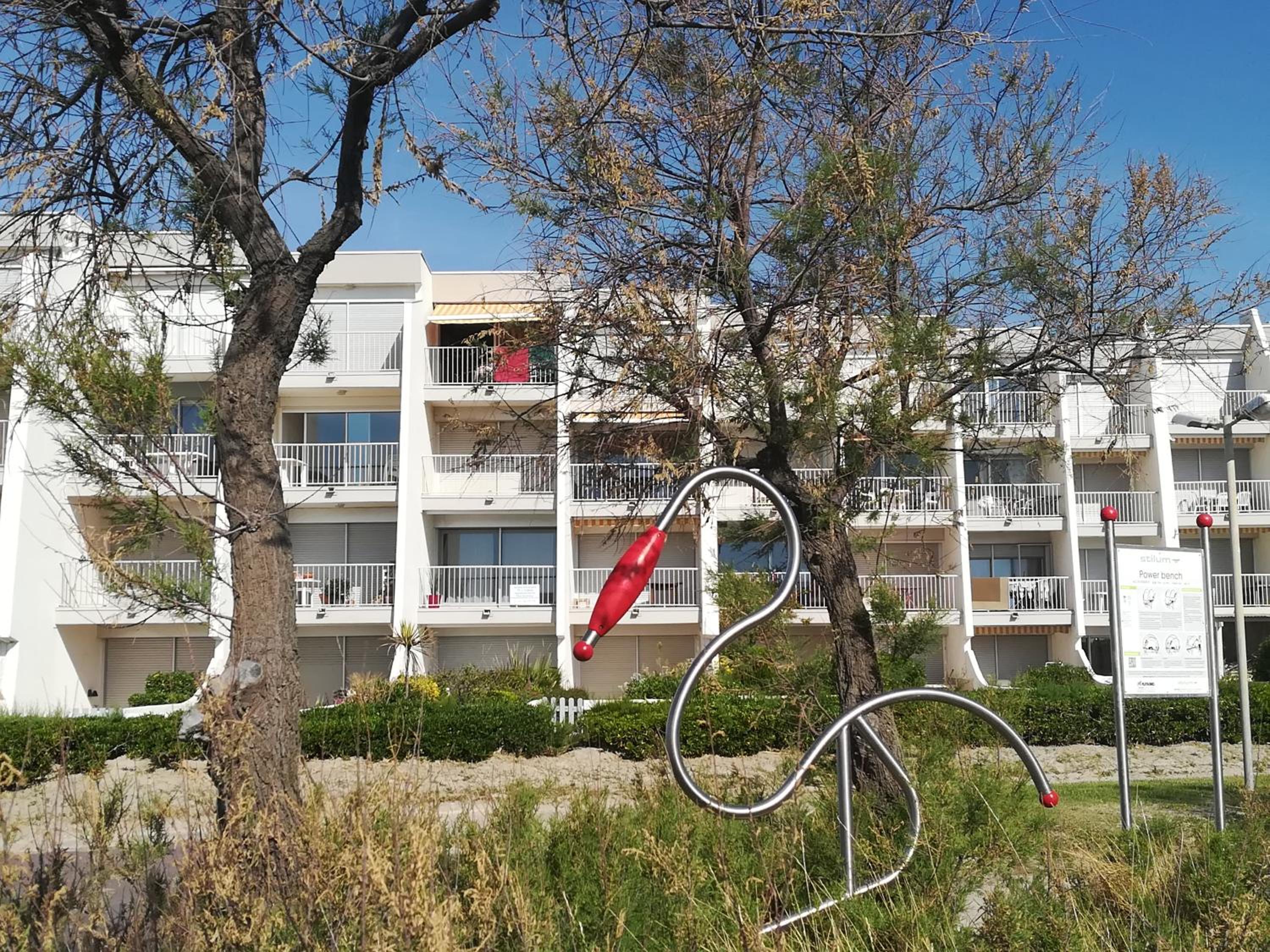 Goelands, photo 11