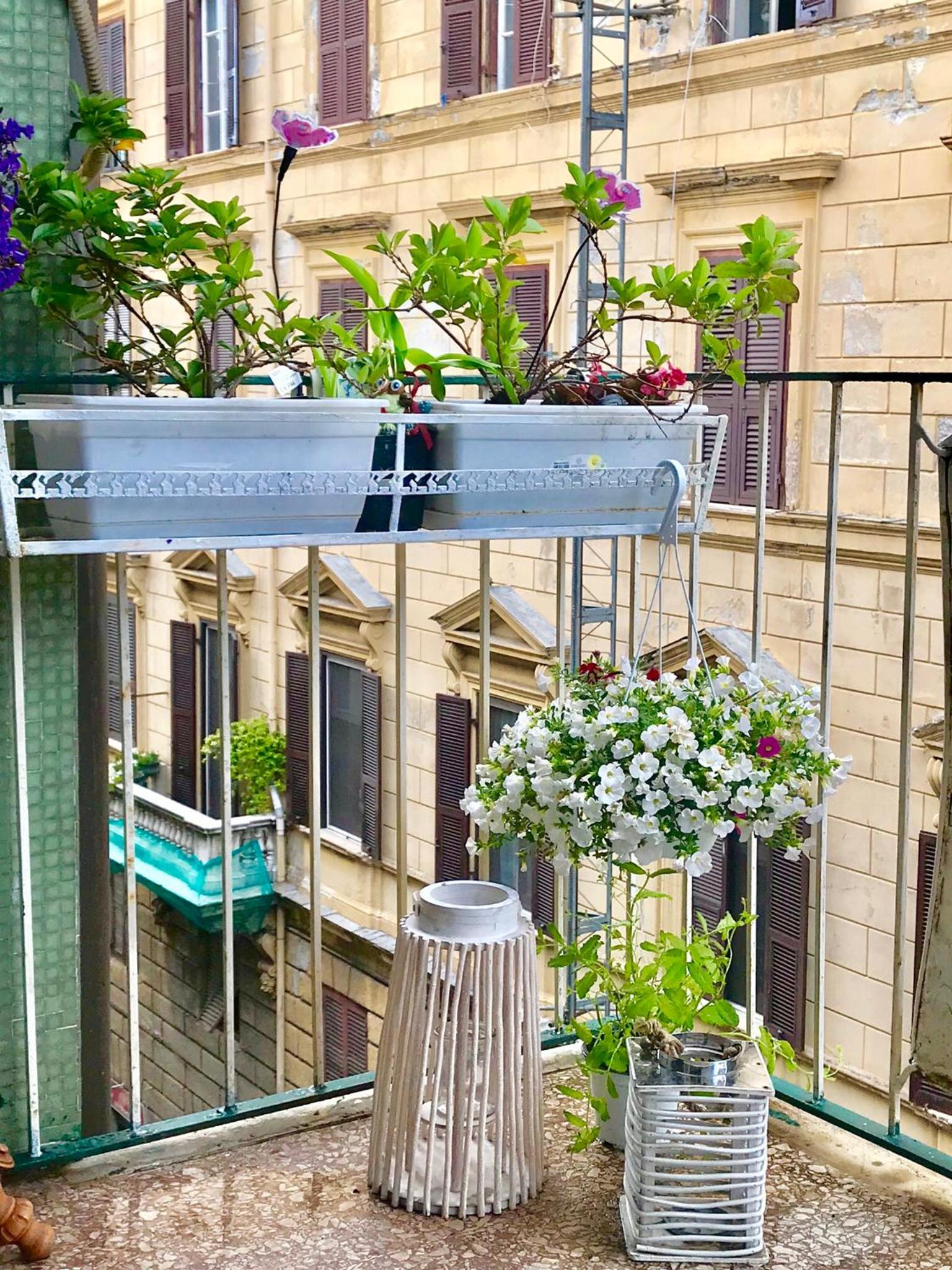 B&B L'Arca Di Noè