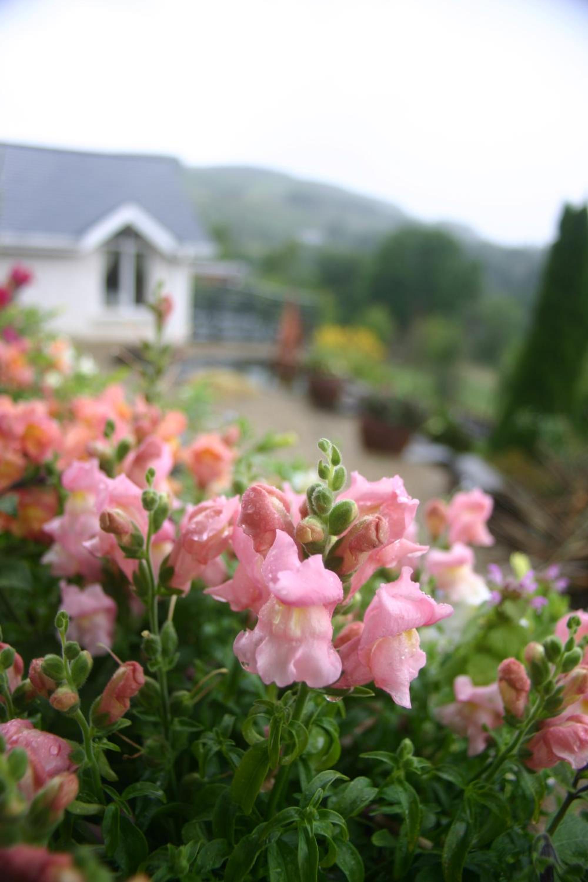 Wicklow Way Lodge
