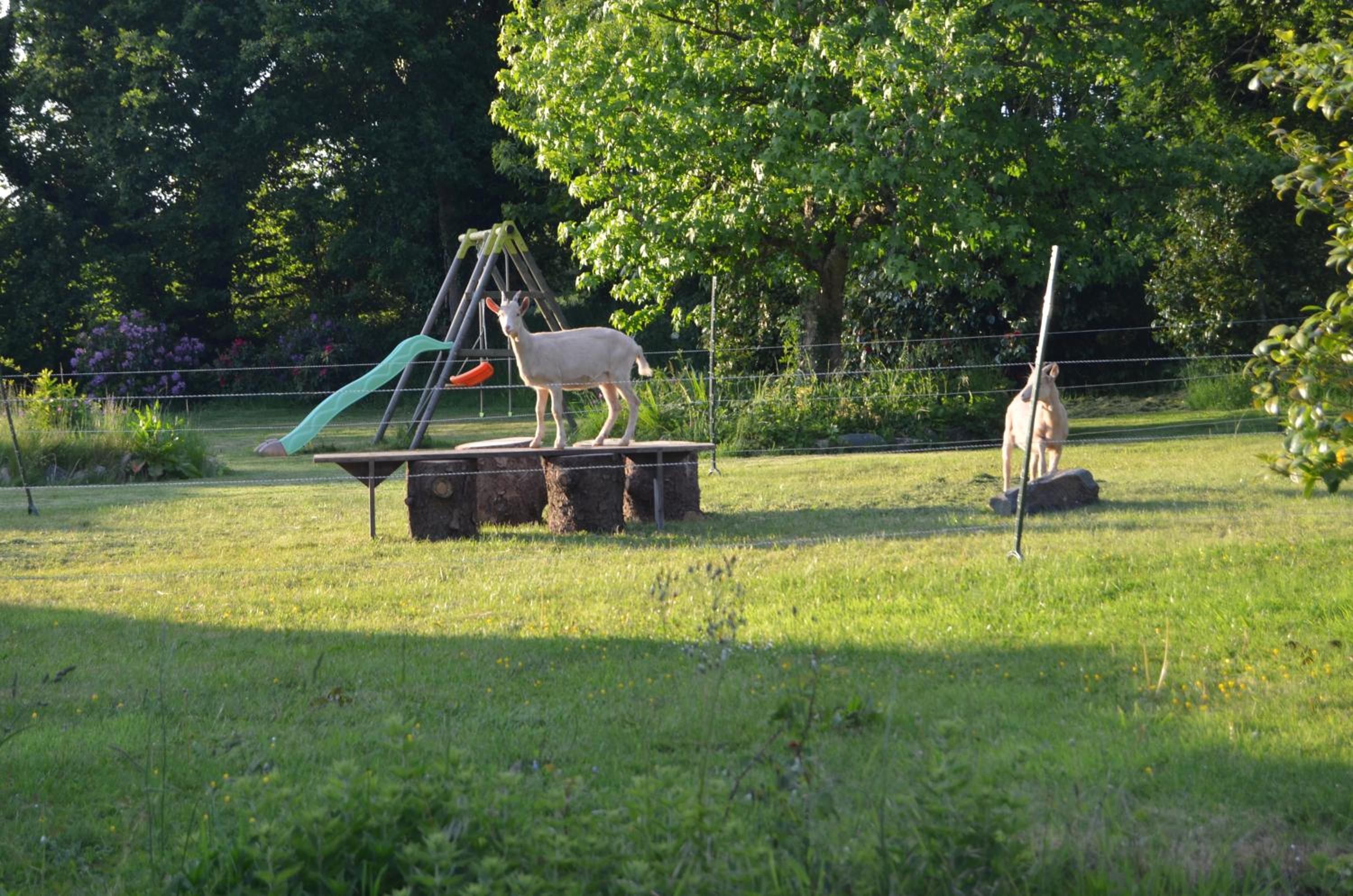 Picabreiz - Property Image 32