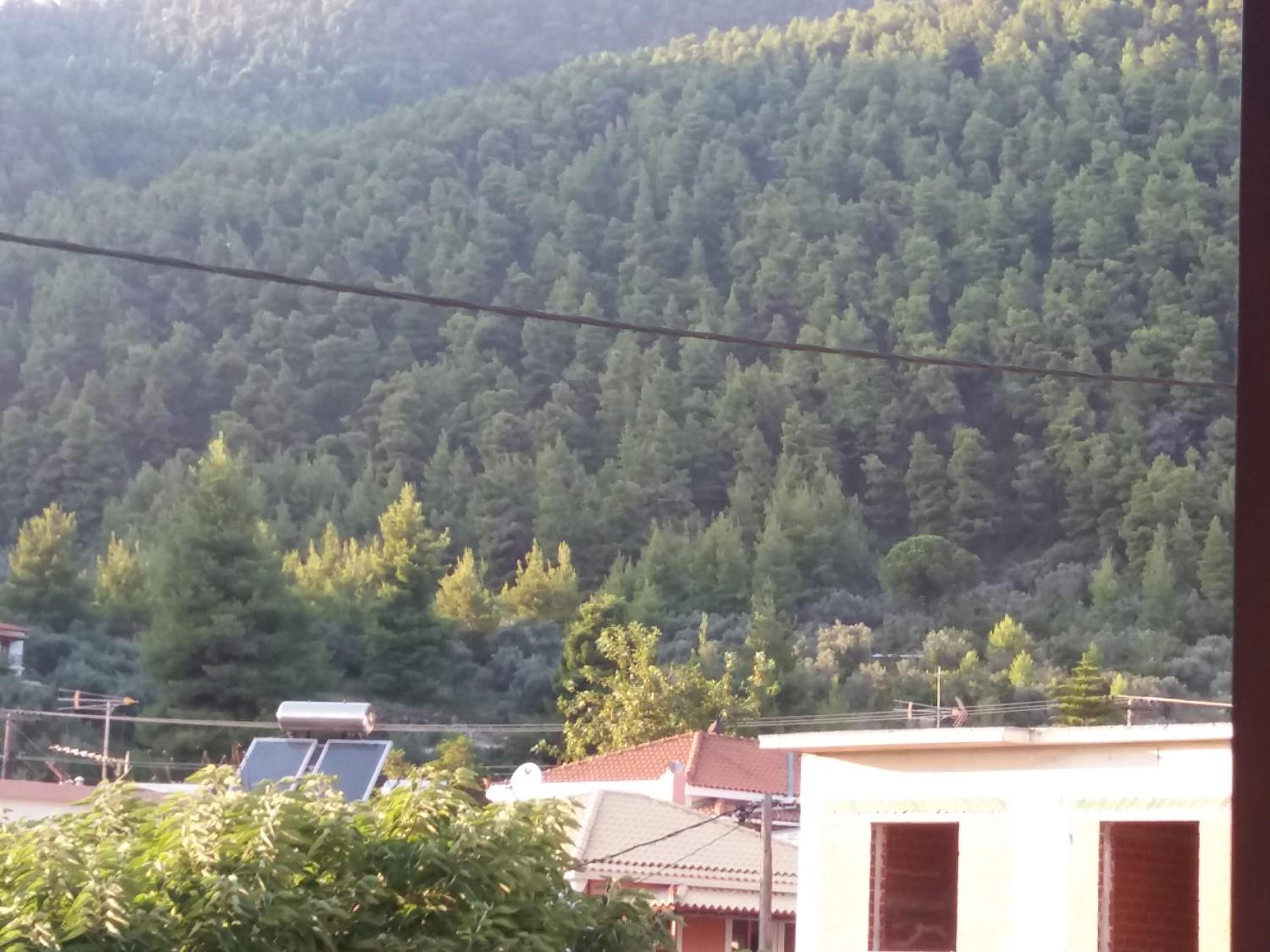 Photo 42