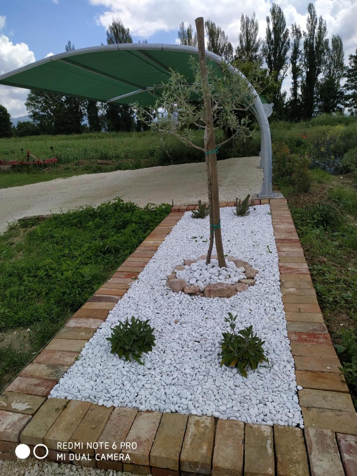 Photo 22