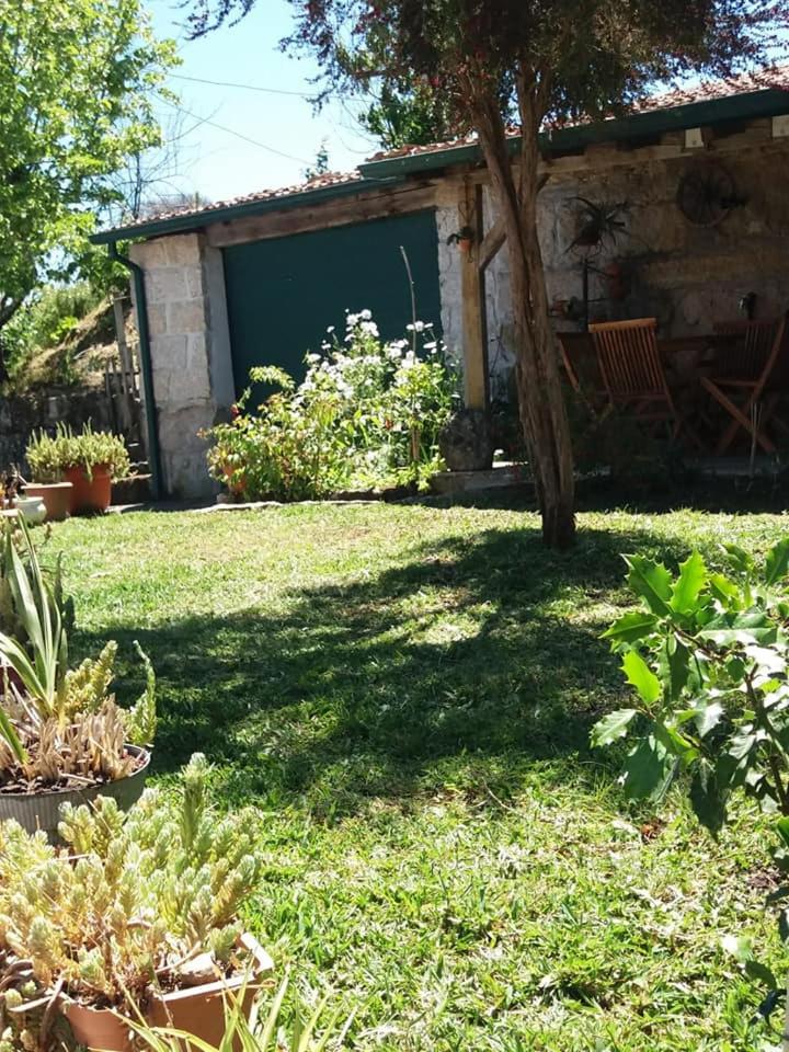 Photo 25