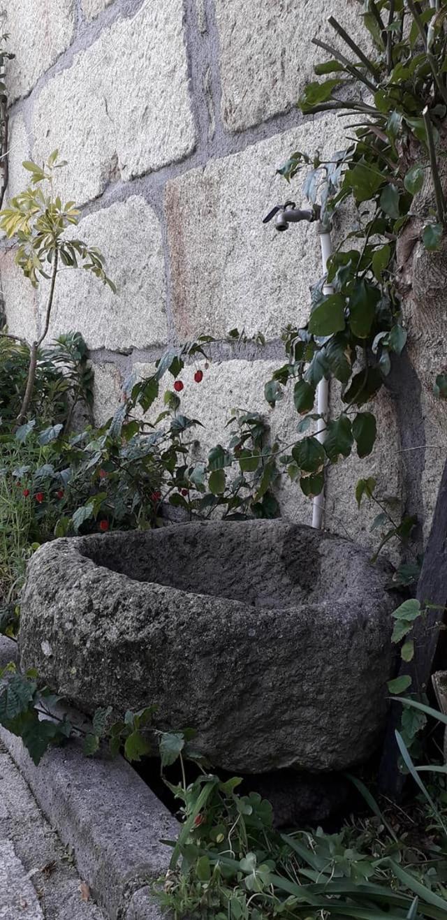 Photo 34