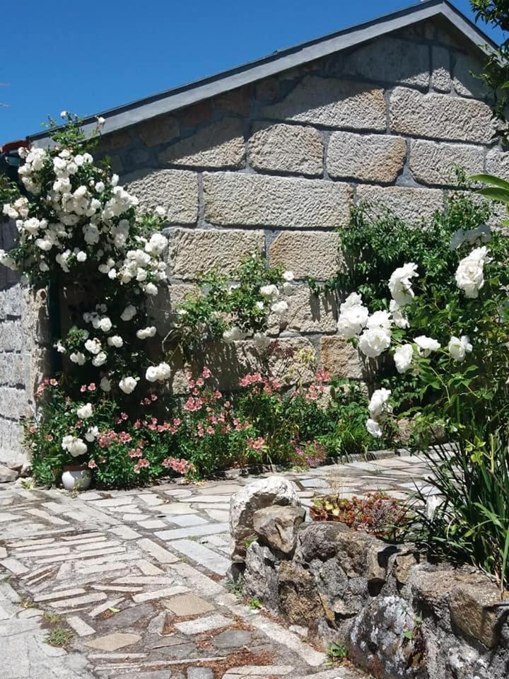 Photo 100