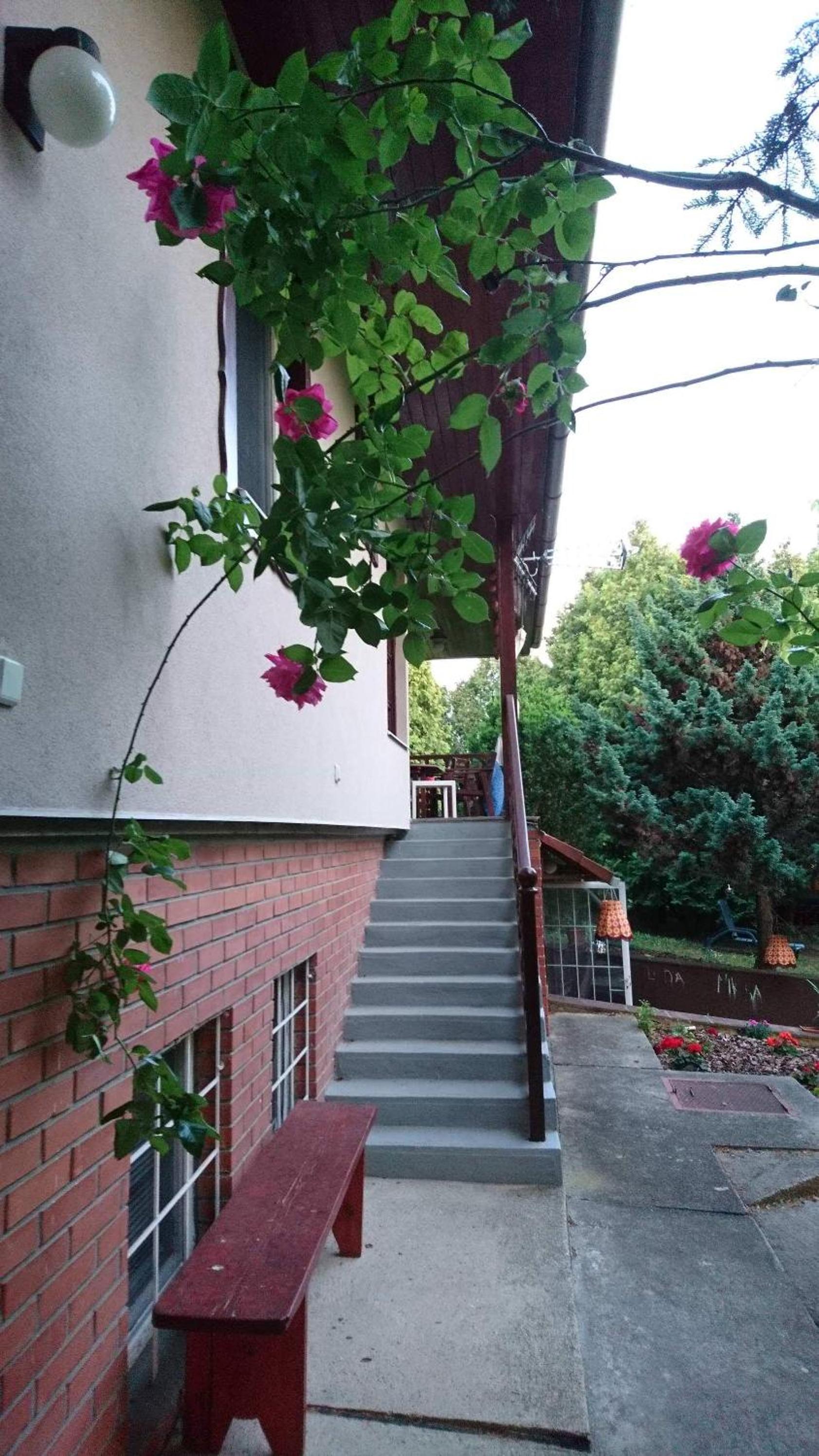 Photo 48