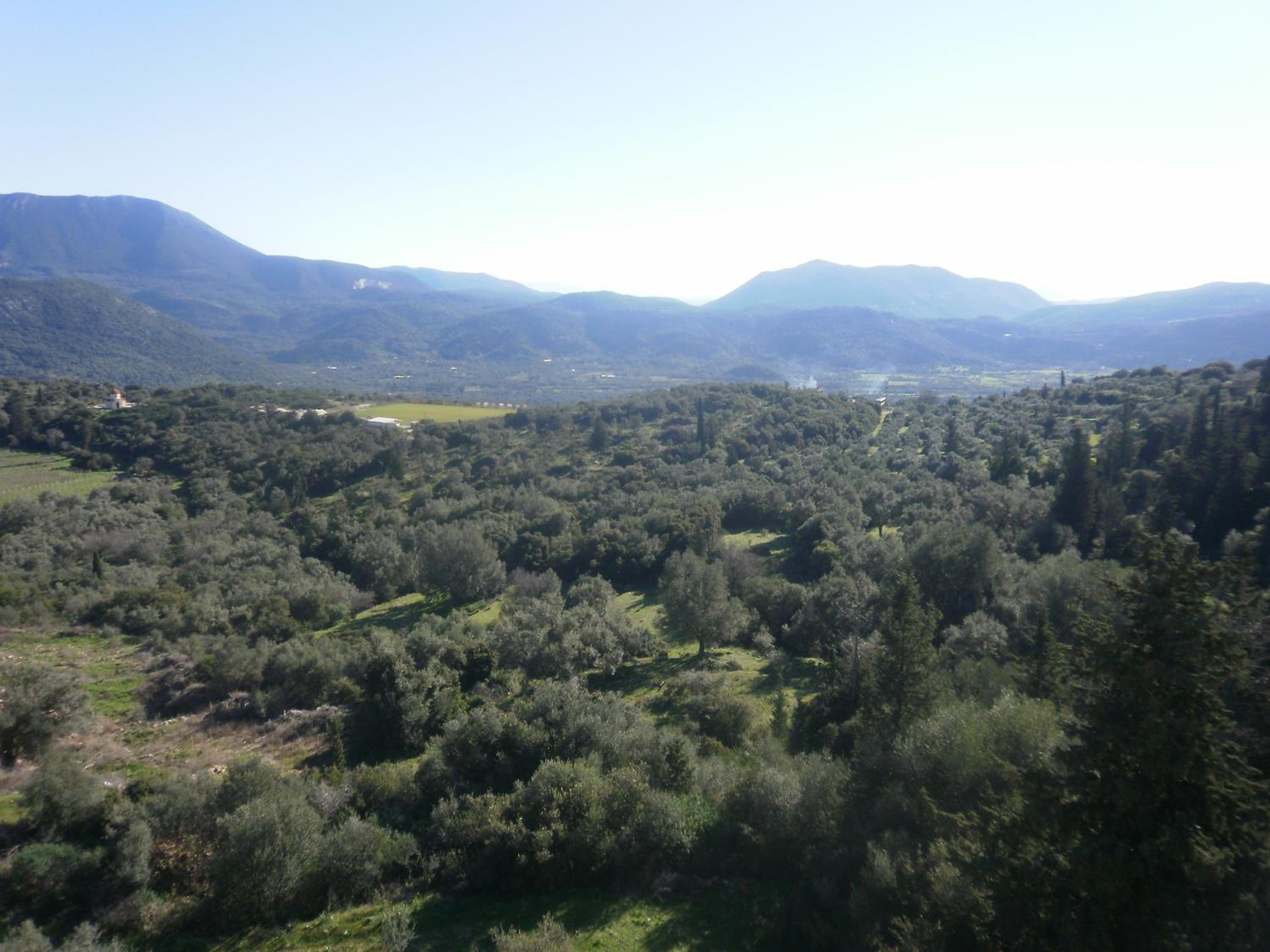 San Pedro view 4
