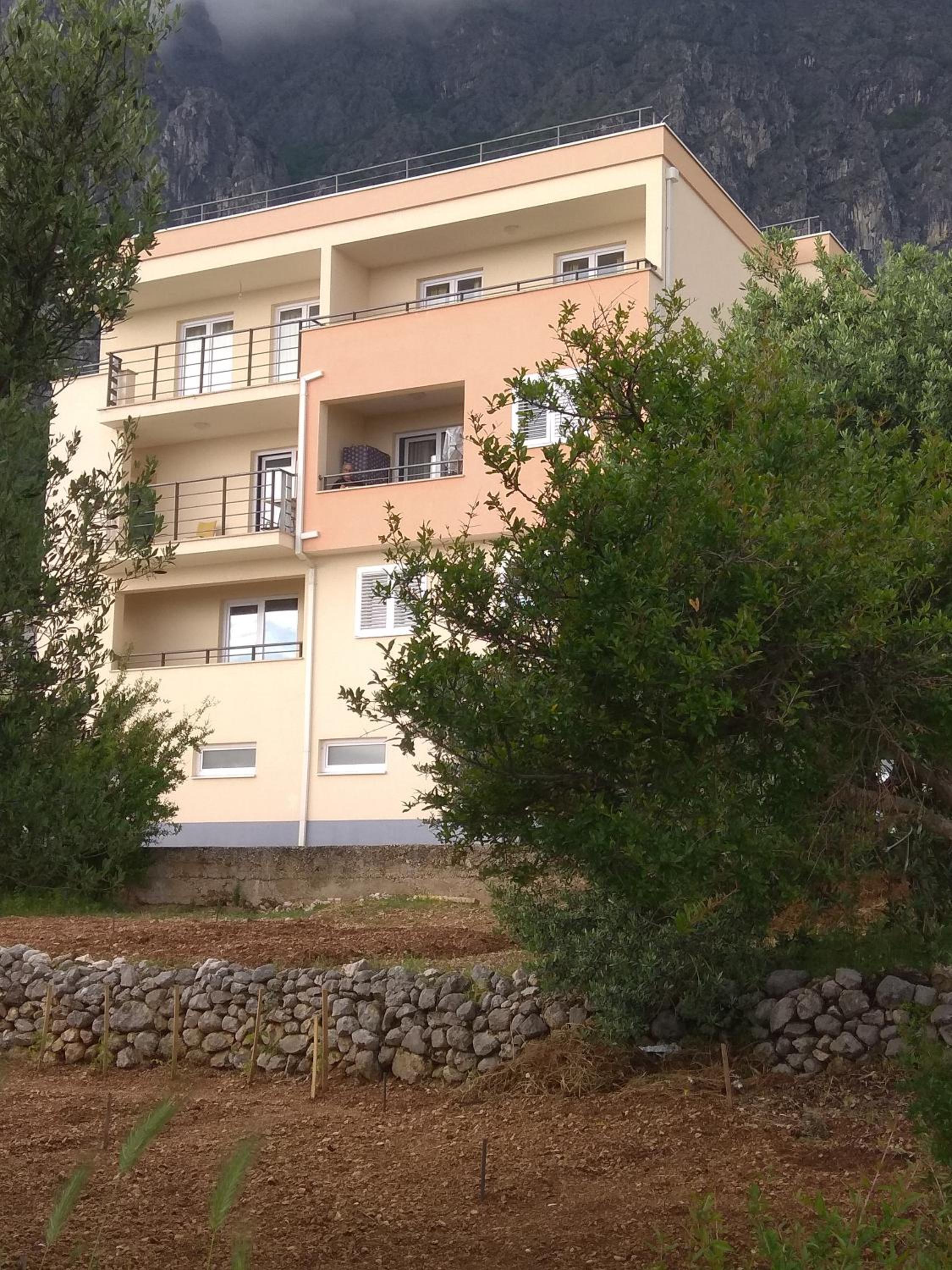 Photo 15